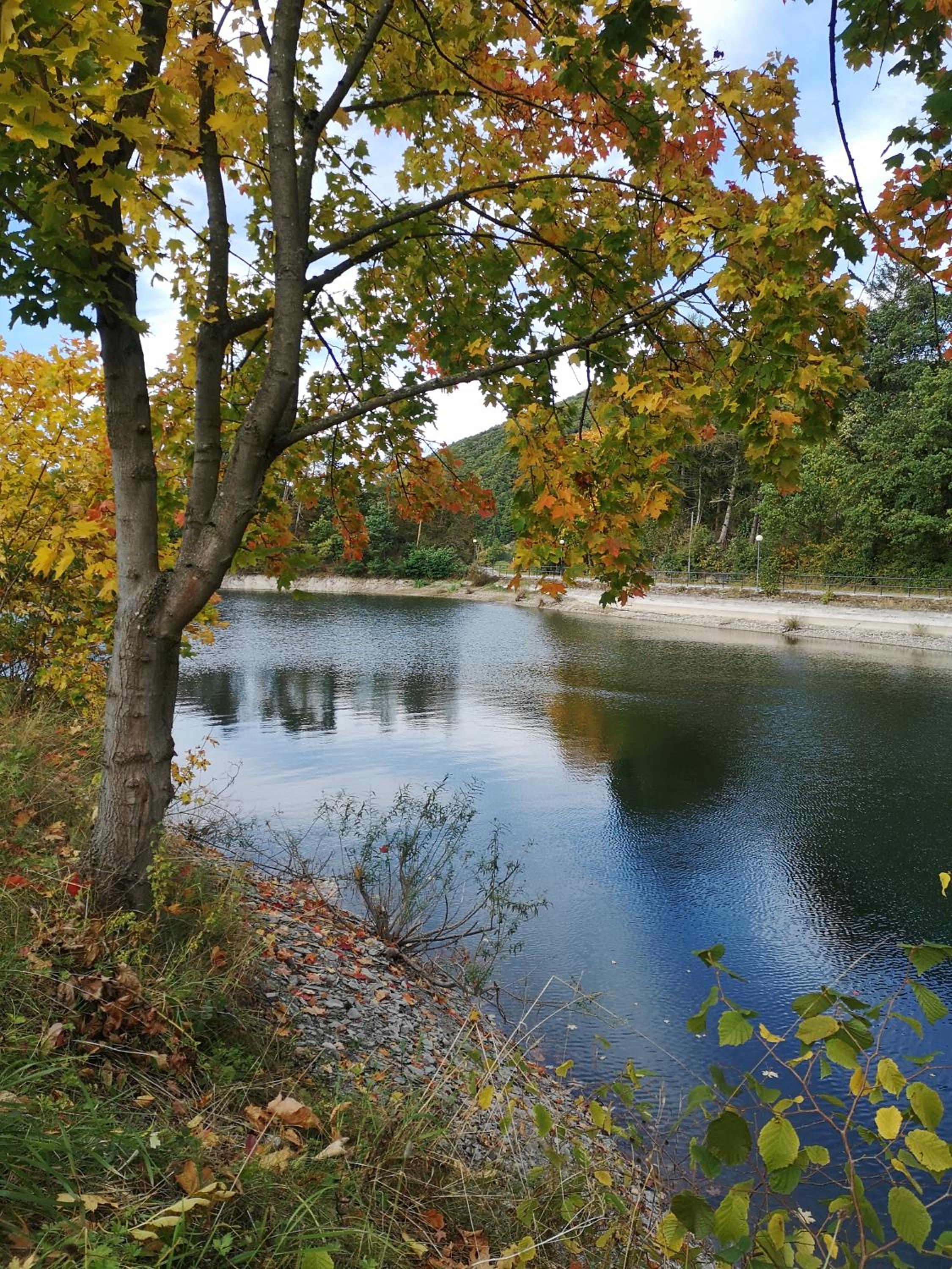 Top Ferienwohnung am Diemelsee, Sauerland Nähe Willingen Winterberg