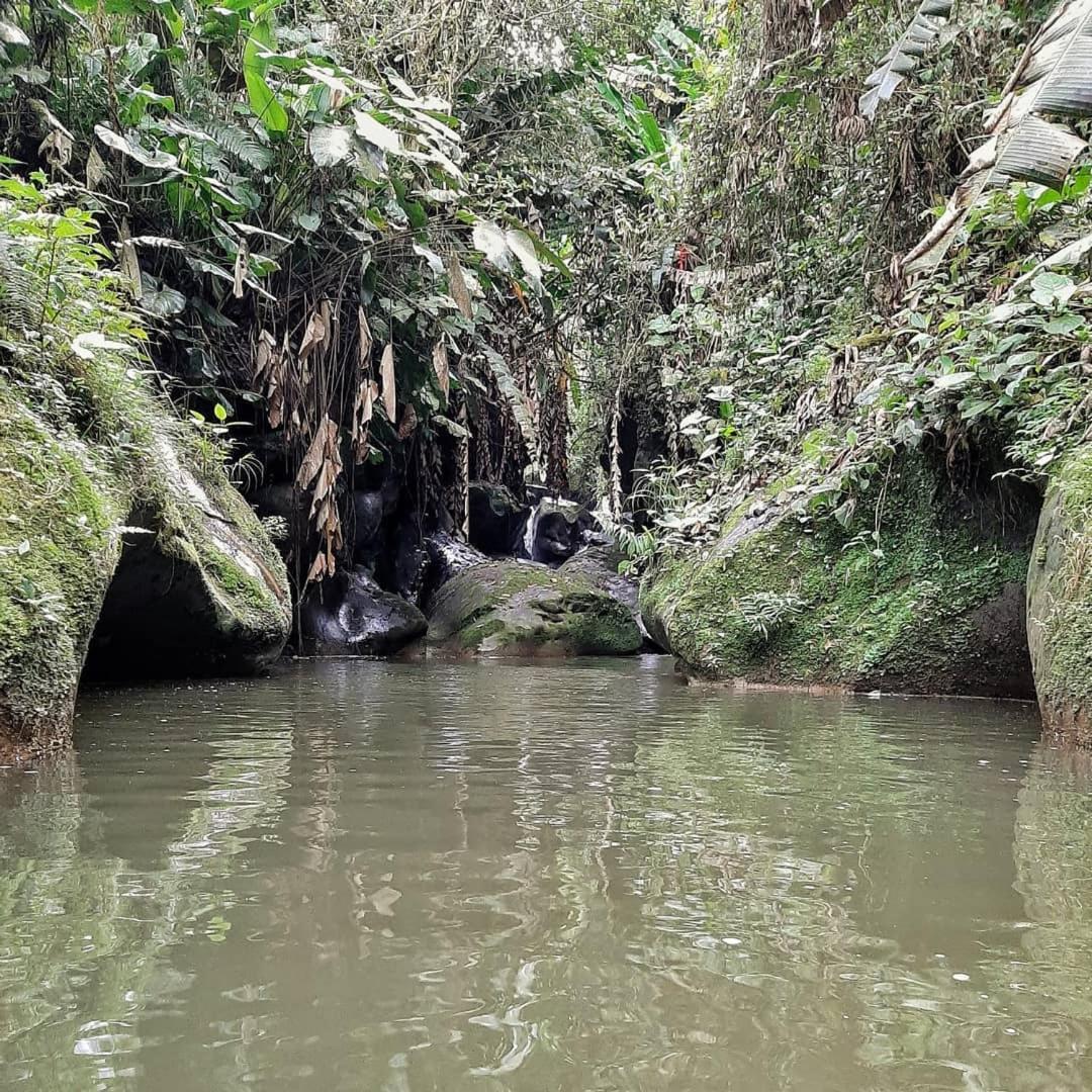 5ta SARoCO Hacienda Biocultural y Agroecoturistica