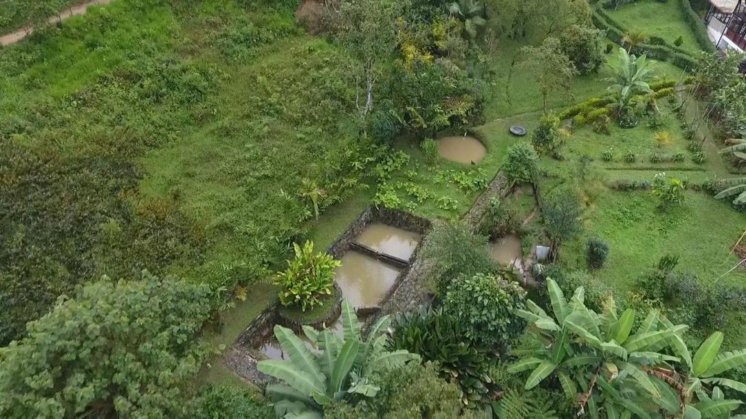 5ta SARoCO Hacienda Biocultural y Agroecoturistica