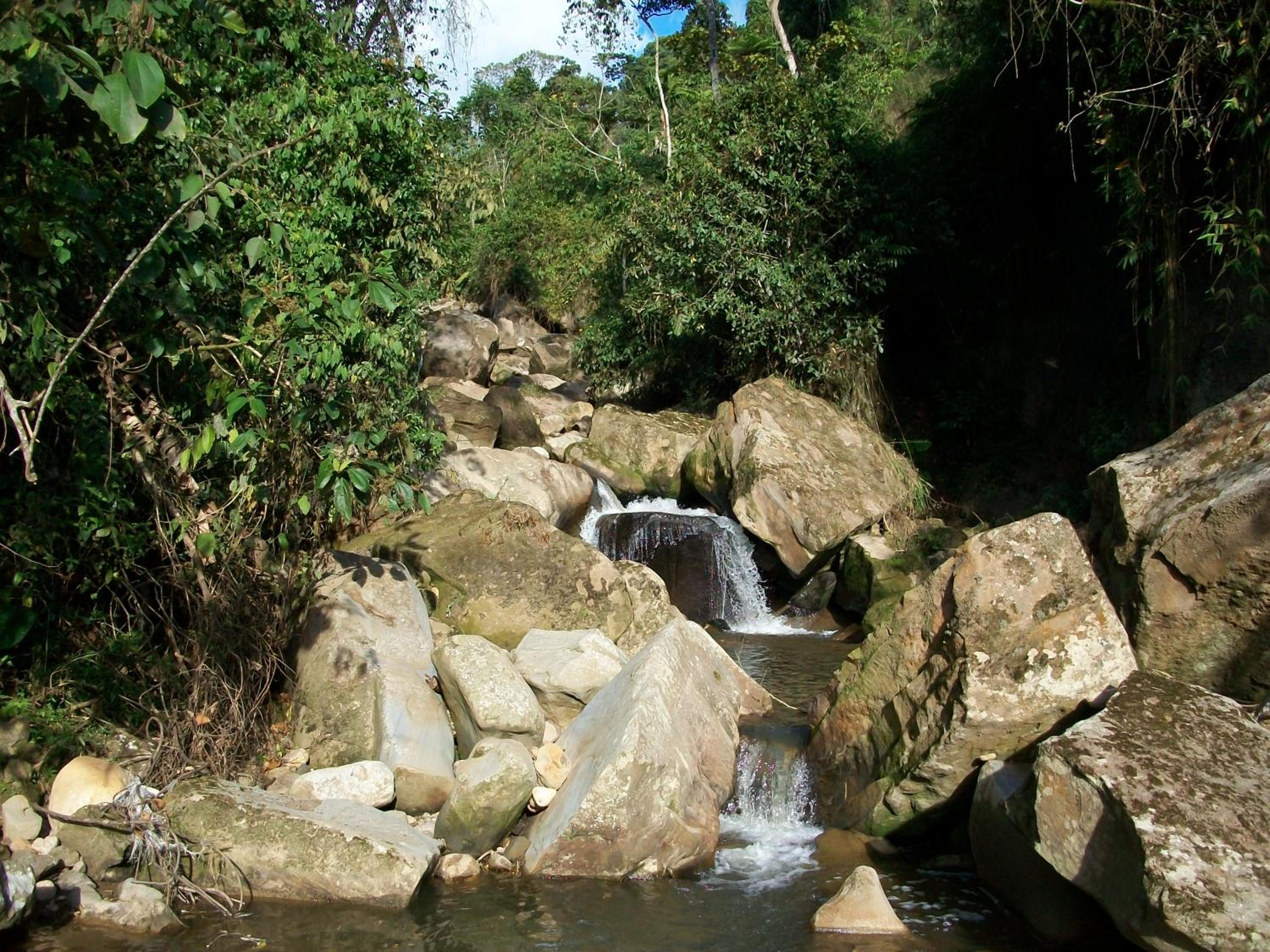 5ta SARoCO Hacienda Biocultural y Agroecoturistica