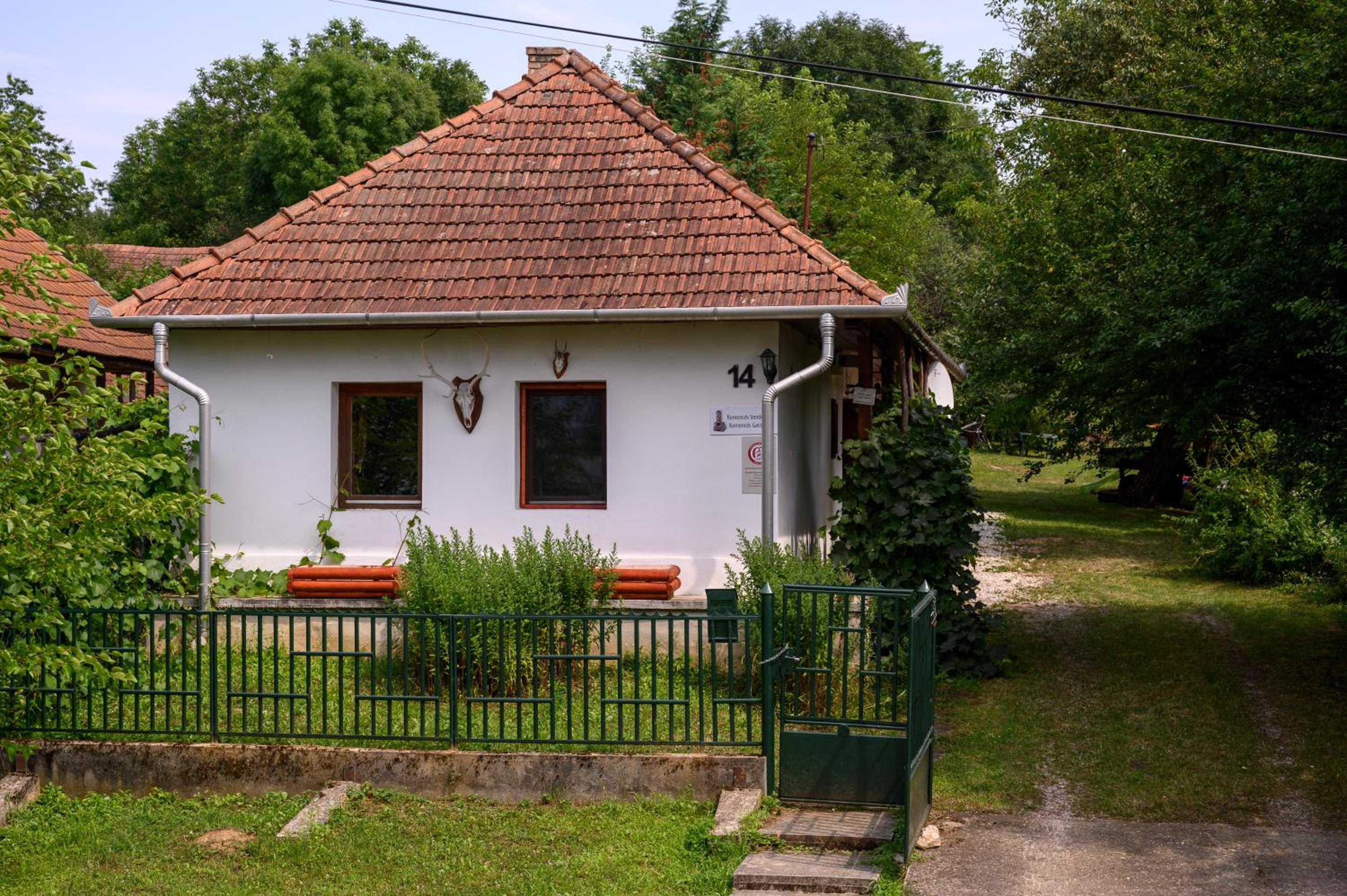 Photo 10