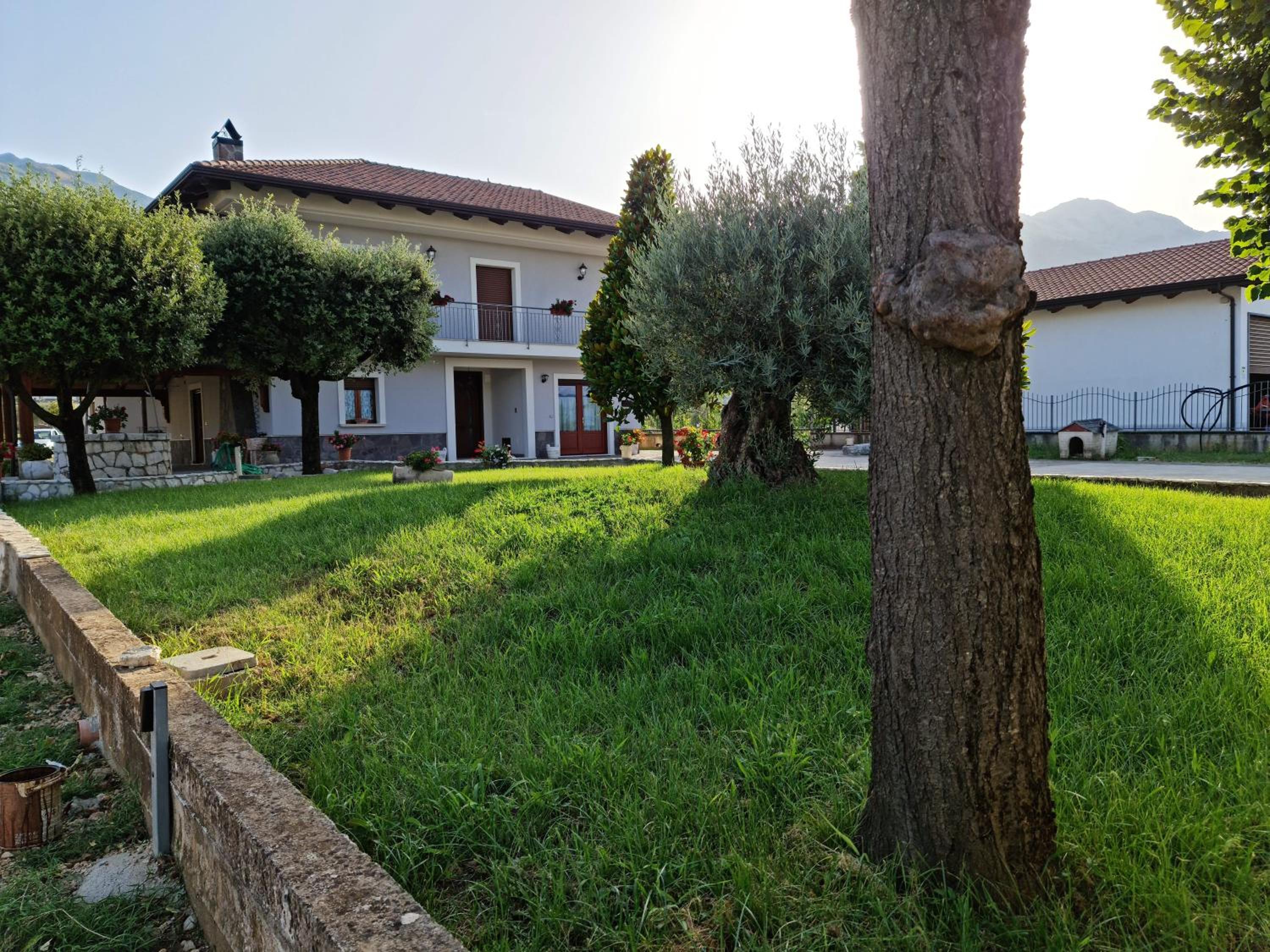 Affittacamere Le Querce view 3