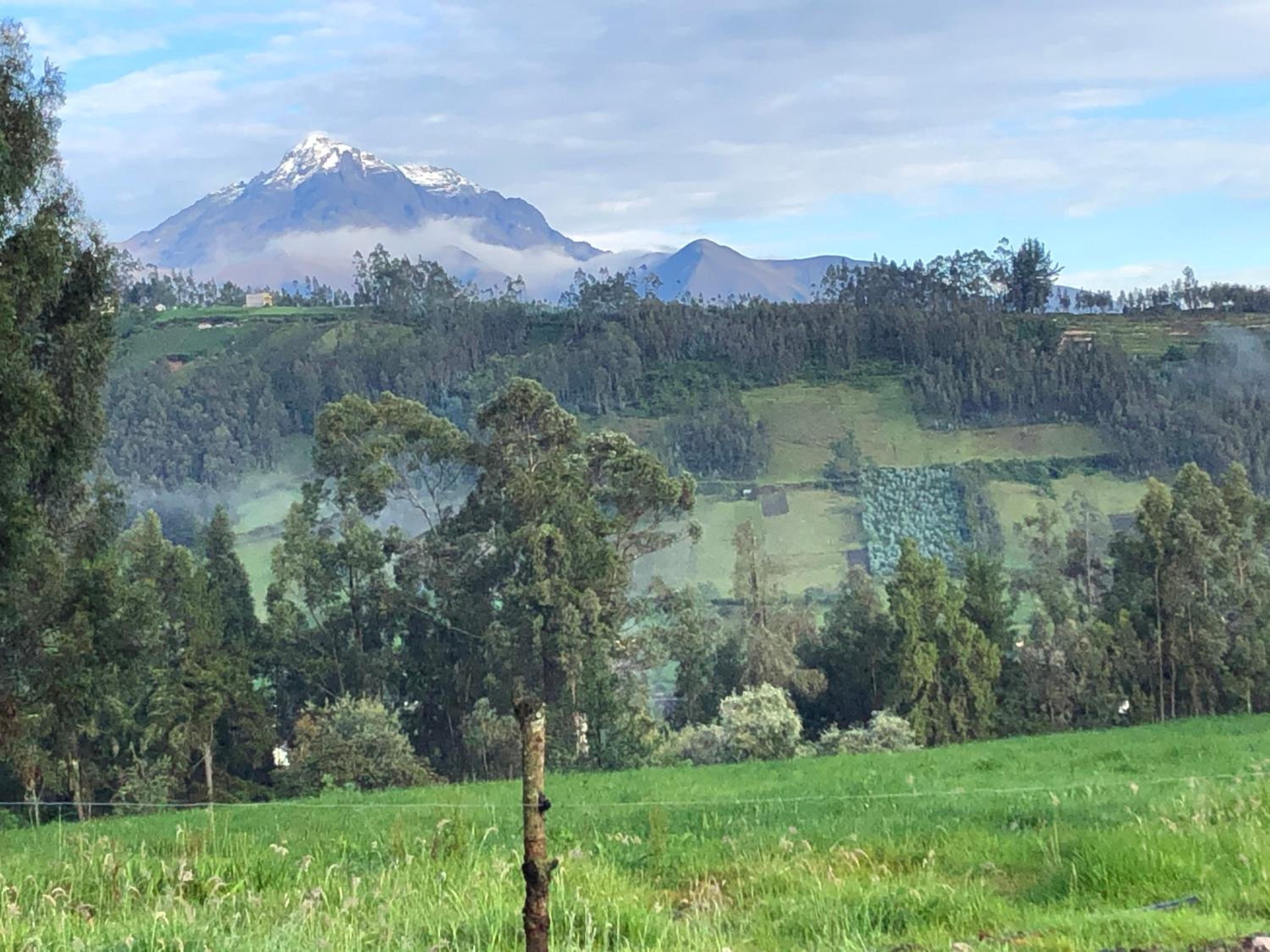 Hacienda Rosas Pamba view 3