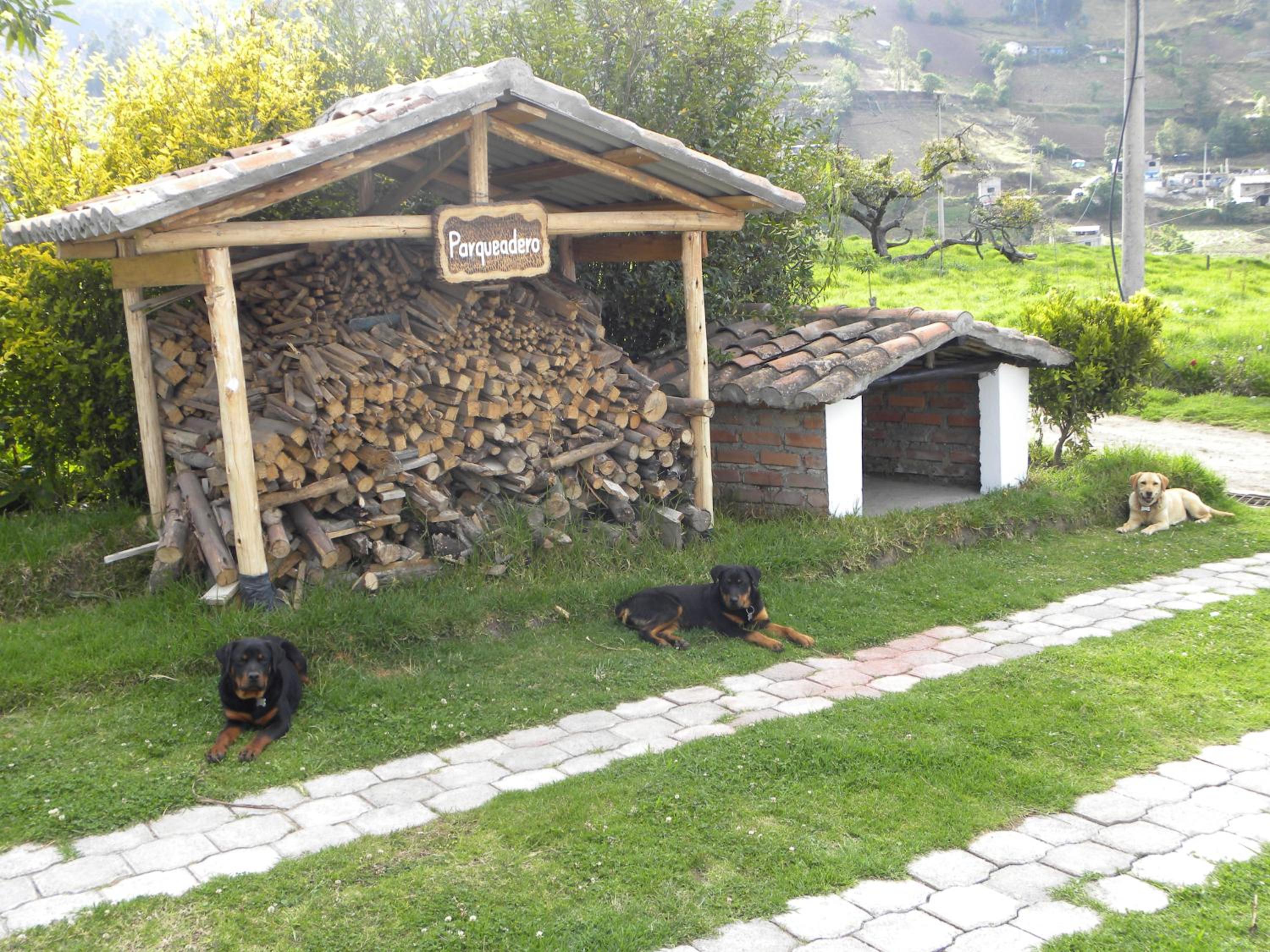 Photo 26
