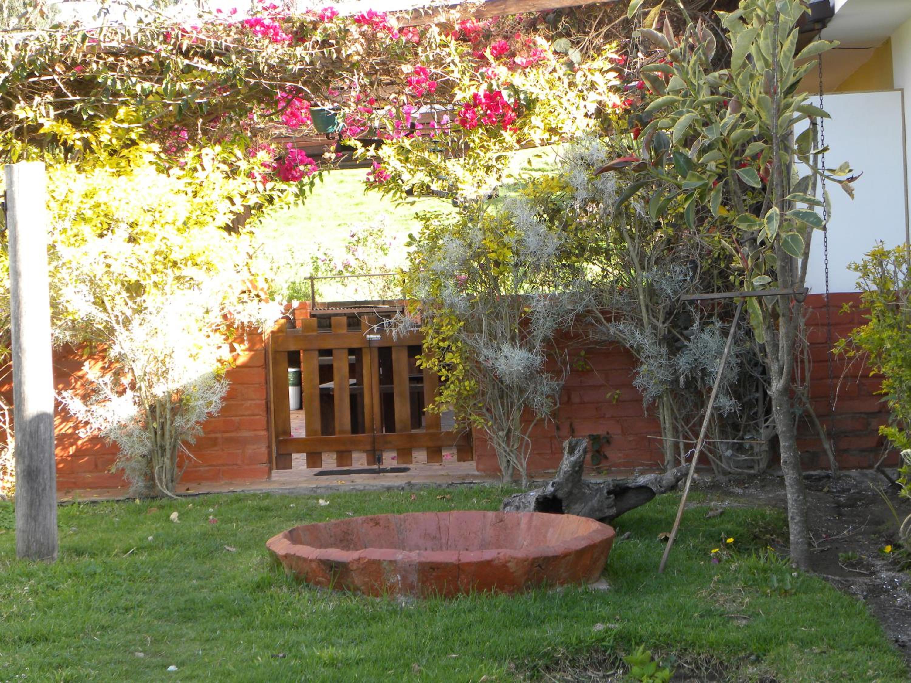Photo 27