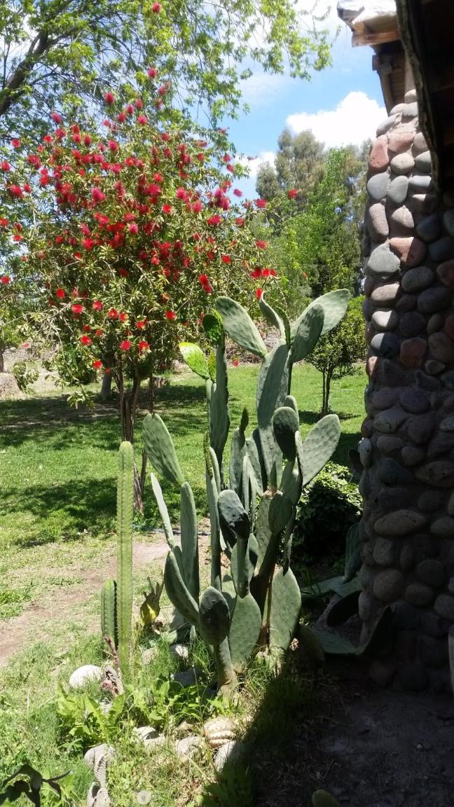 Hospedaje Finca La Siciliana