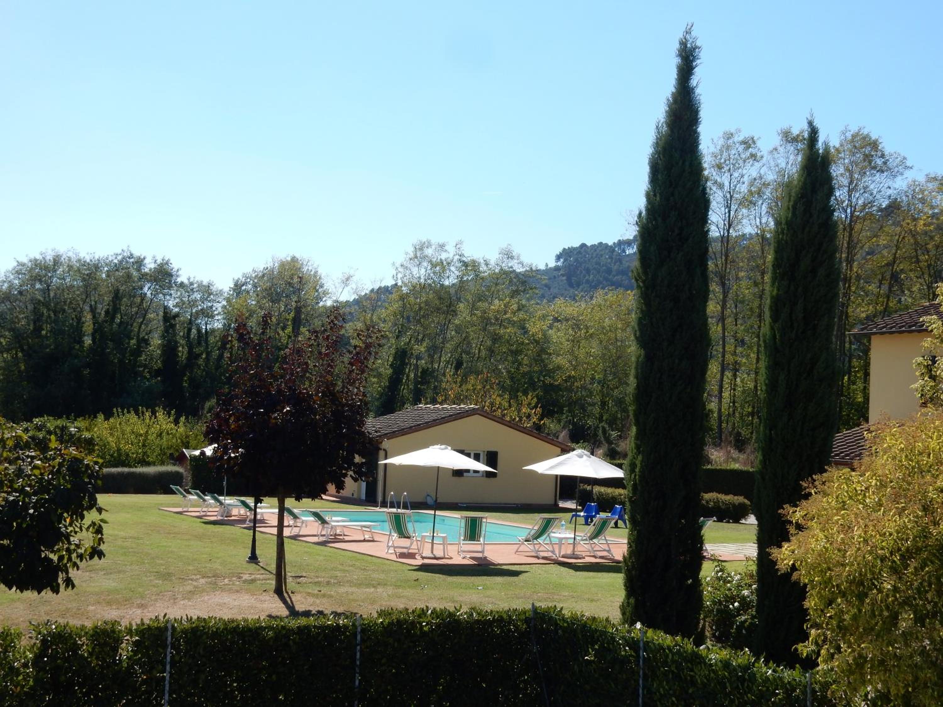 Photo 42