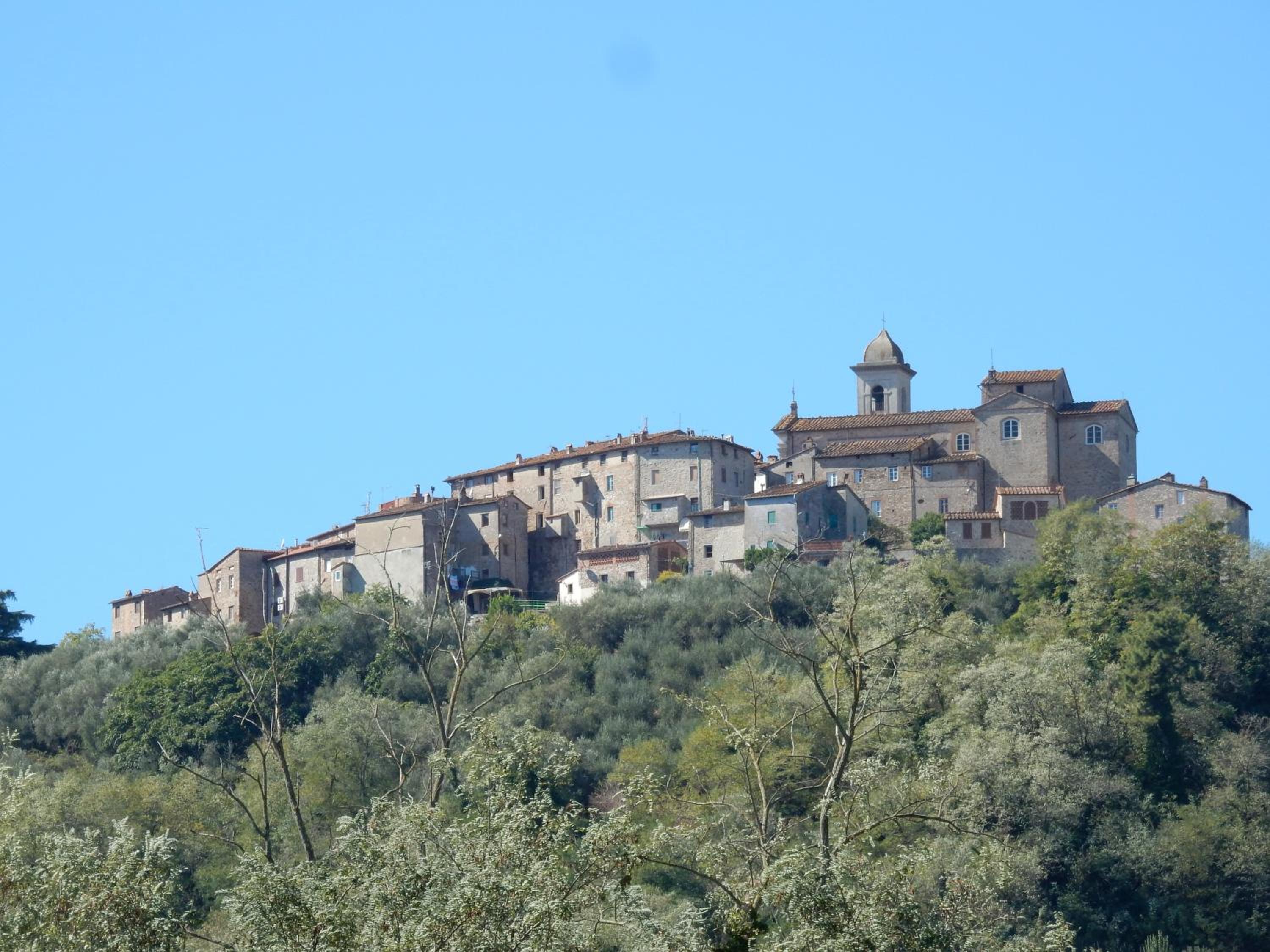 Photo 45