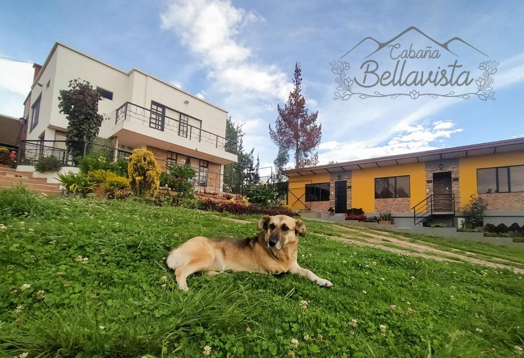 Cabaña Bellavista