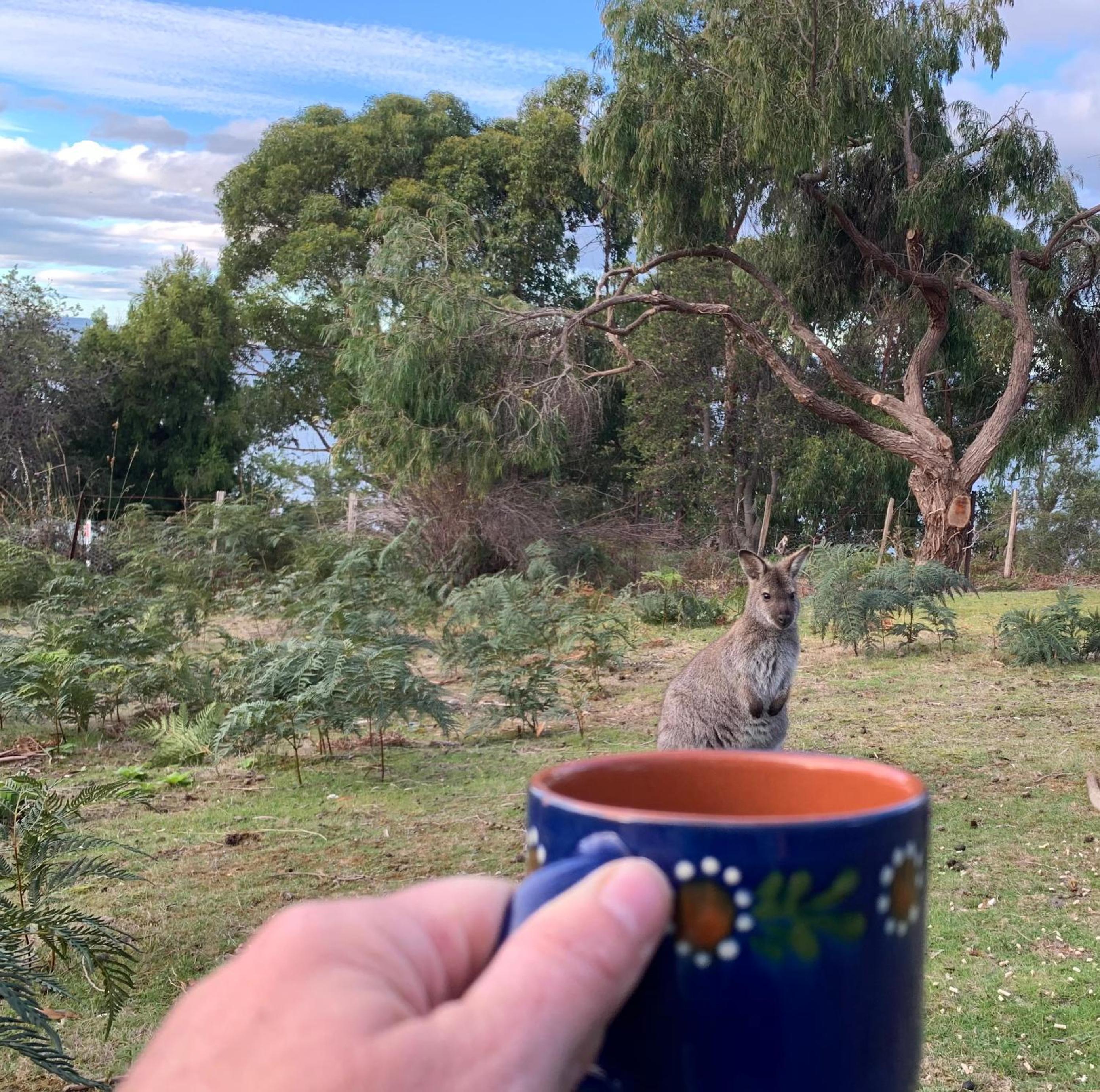 Wylah Cottage for a Peaceful Bruny Island Escape with Water Views, Fireplace & Wallabies