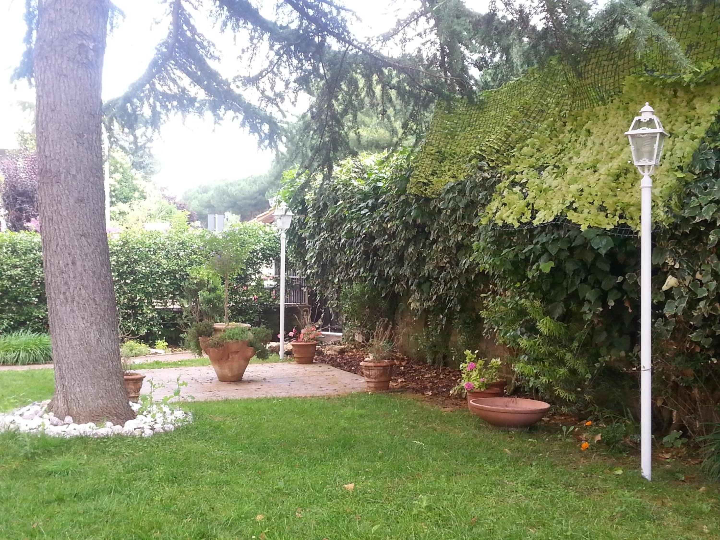 Photo 25