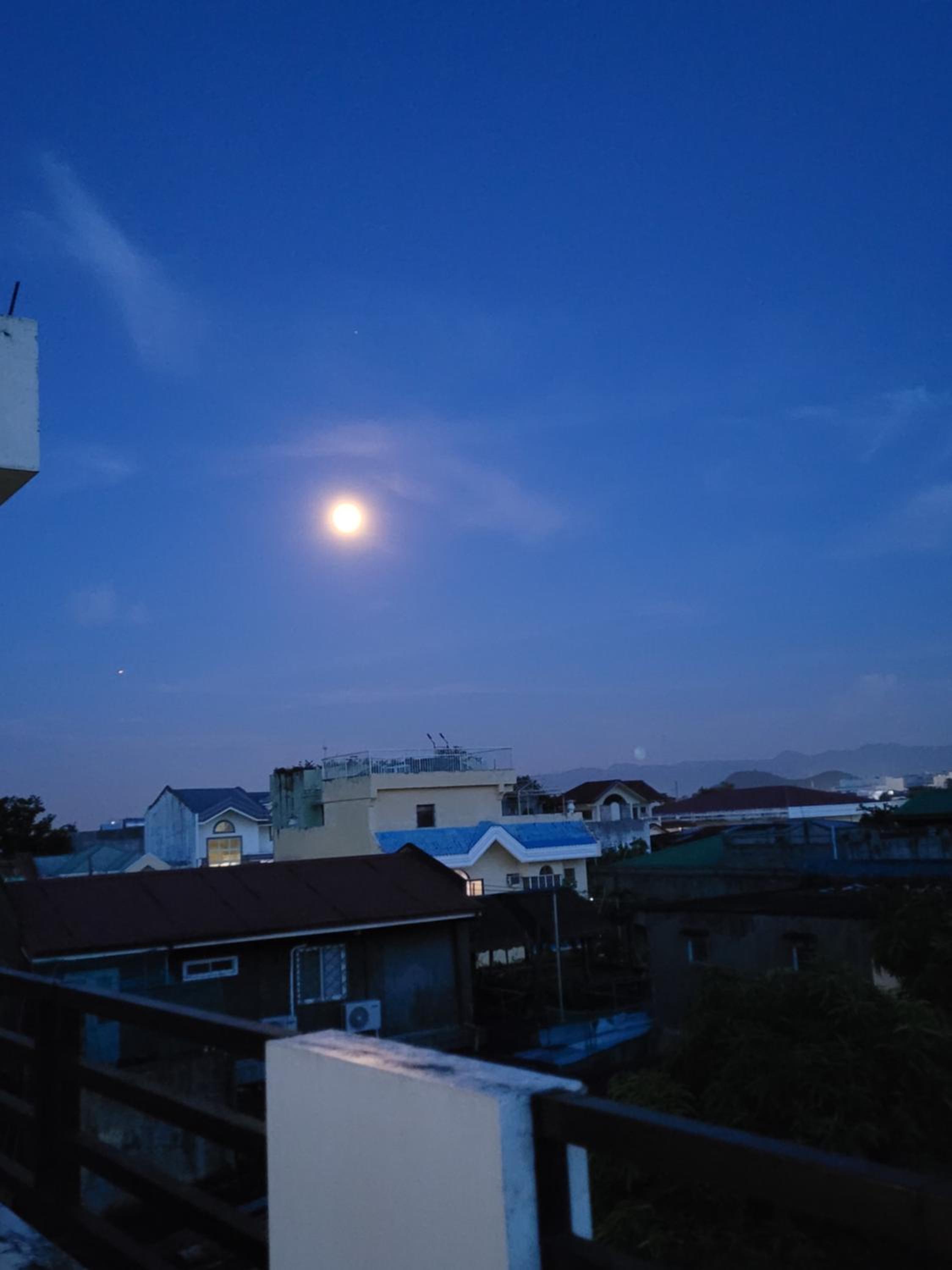 ANDY'S PLACE — photo 15