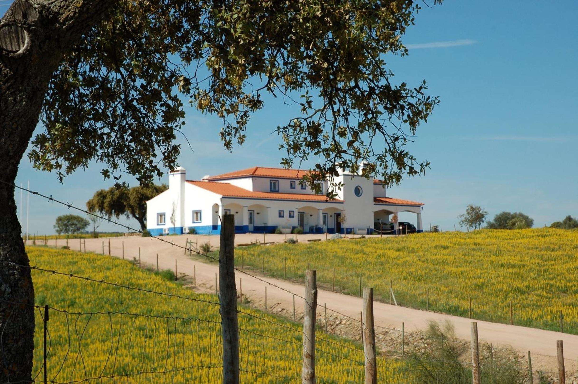 Herdade Dos Barros view 4