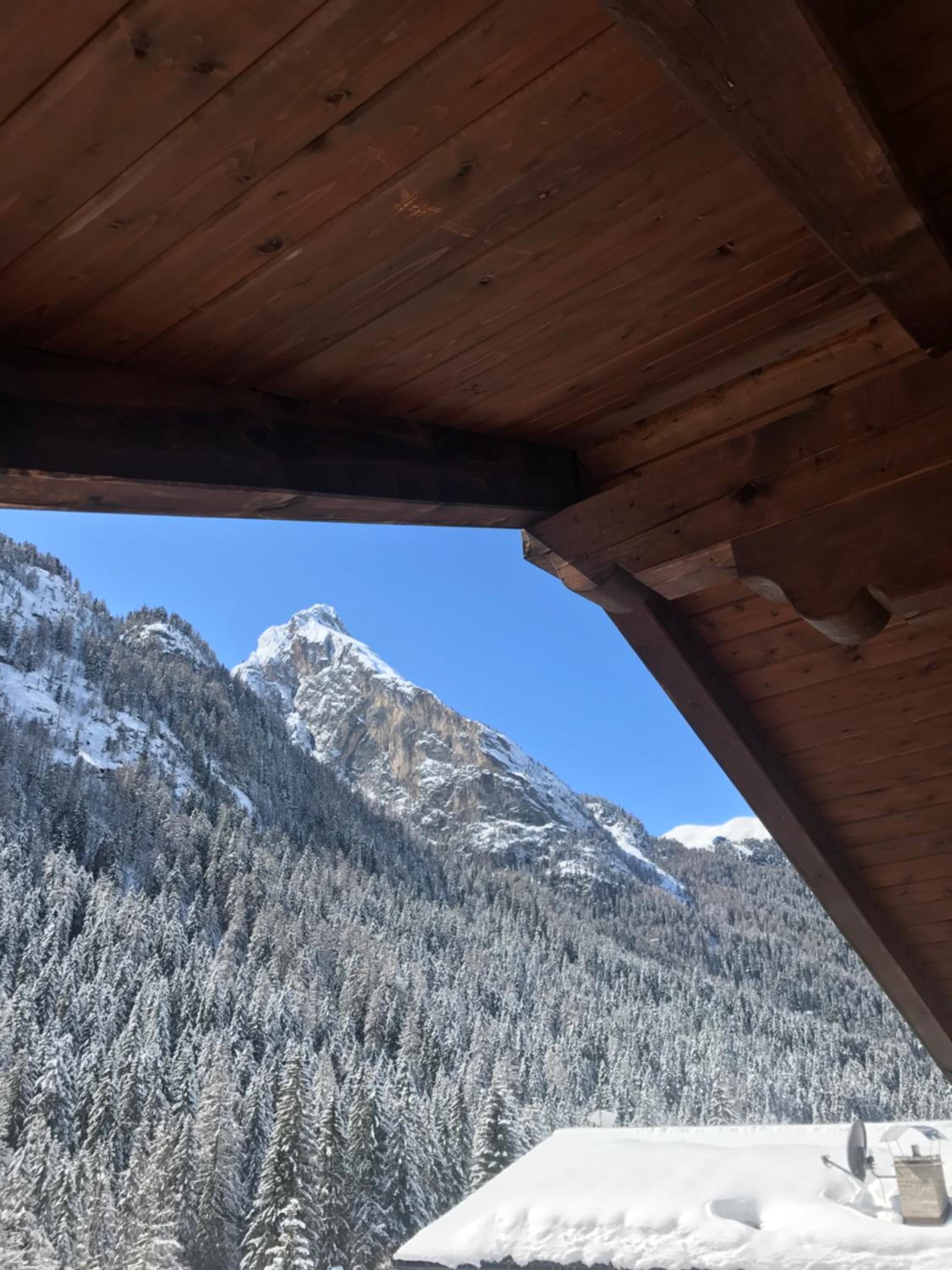 Cesa Mandi e Miky view 5