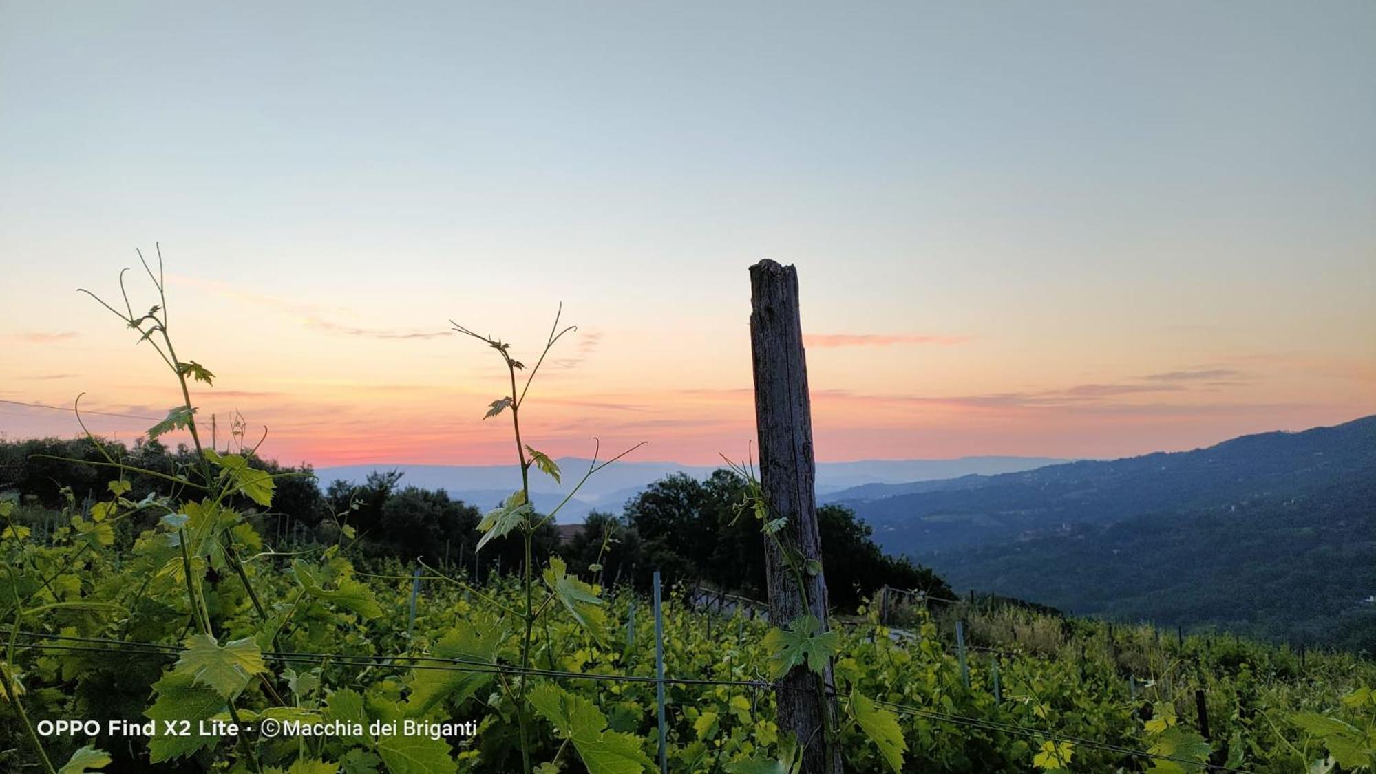 Agriturismo Macchia dei briganti - b&b, Foto 5
