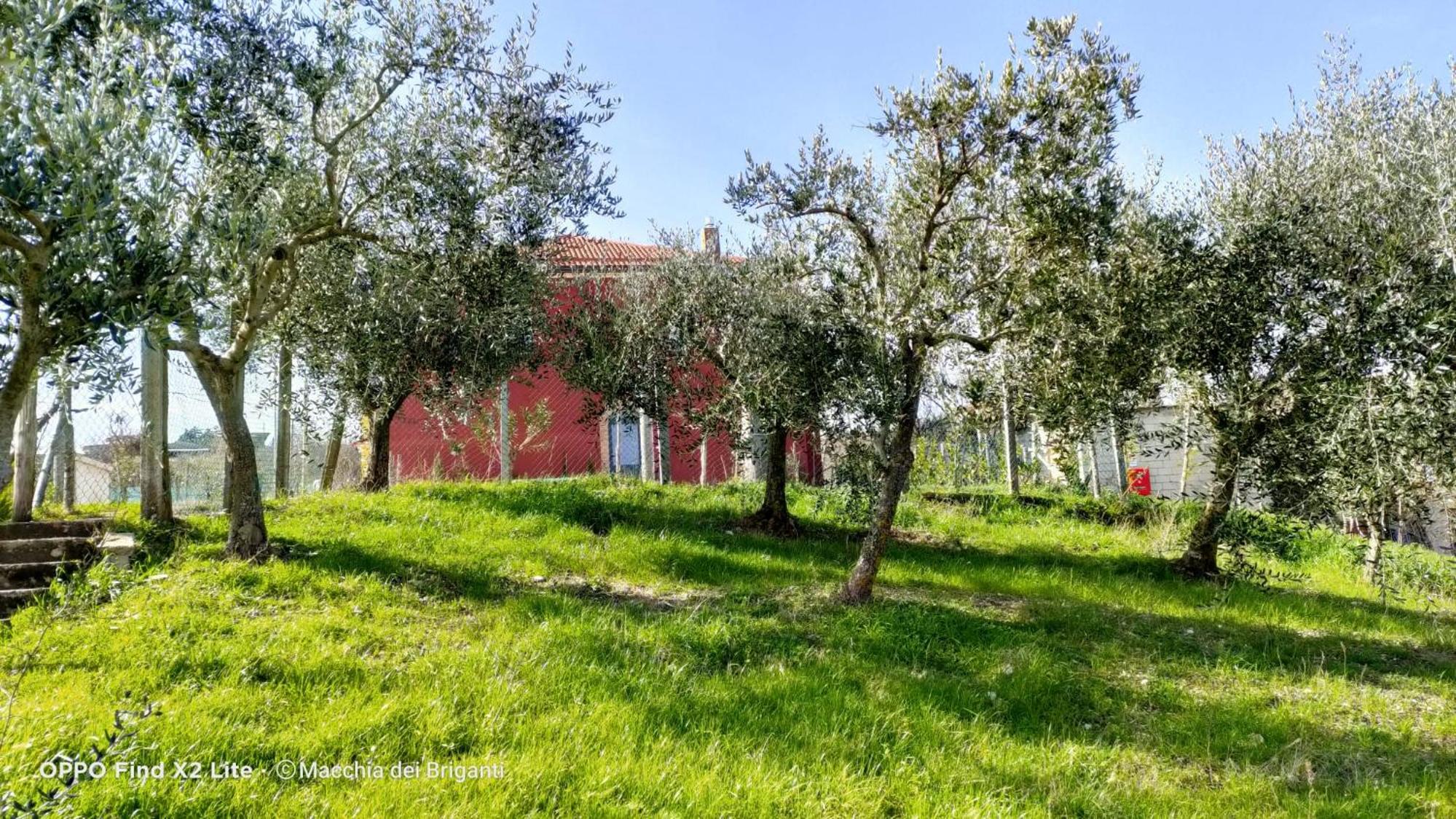 Agriturismo Macchia dei briganti - b&b, Foto 42