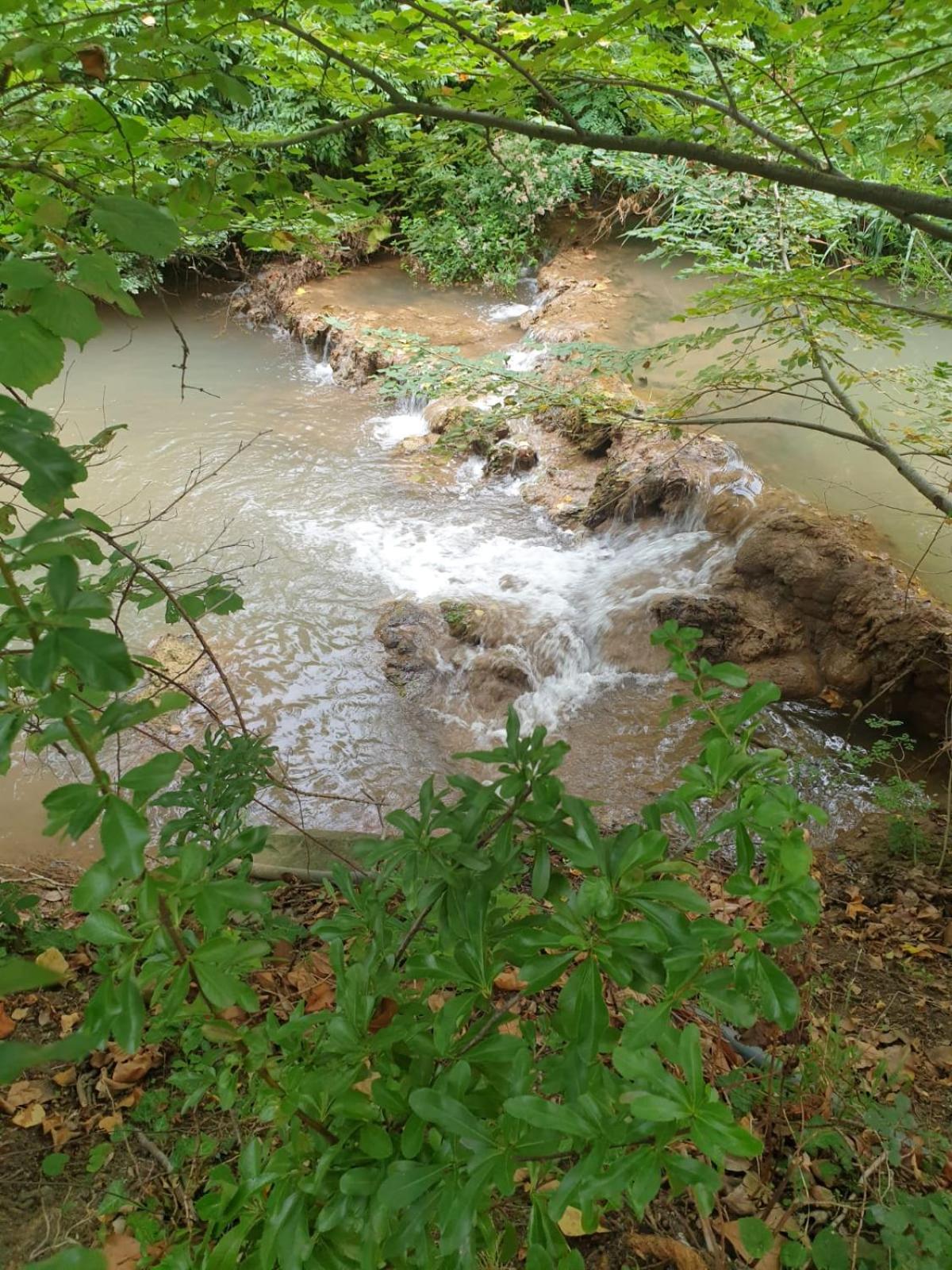 Le Vieux Moulin