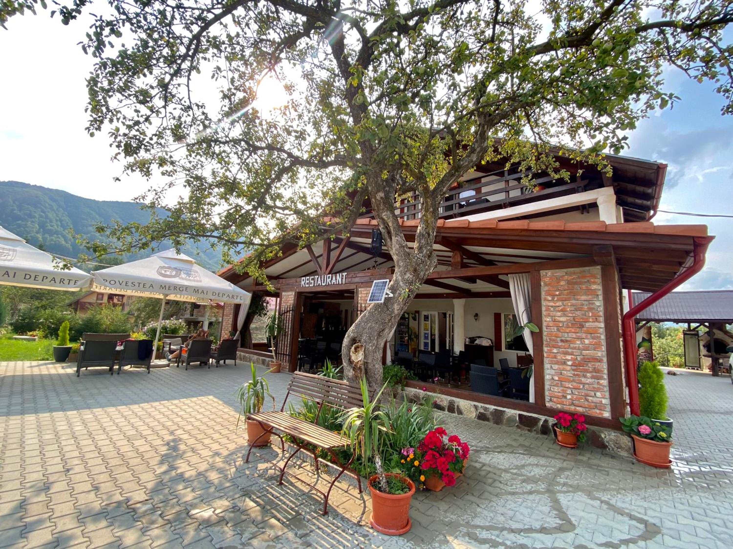 Casa Cenţiu, photo 36