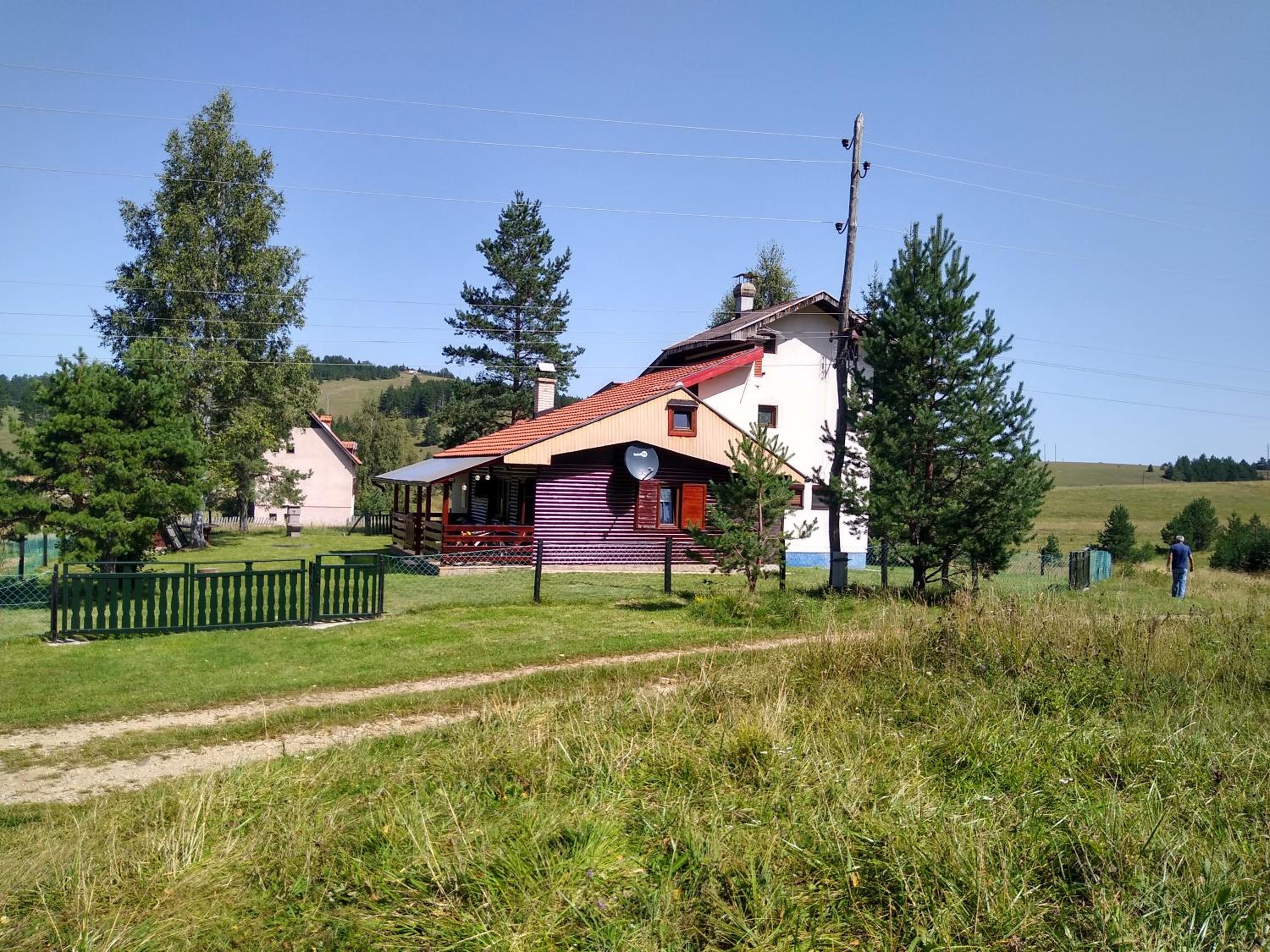 Woodpeckers house