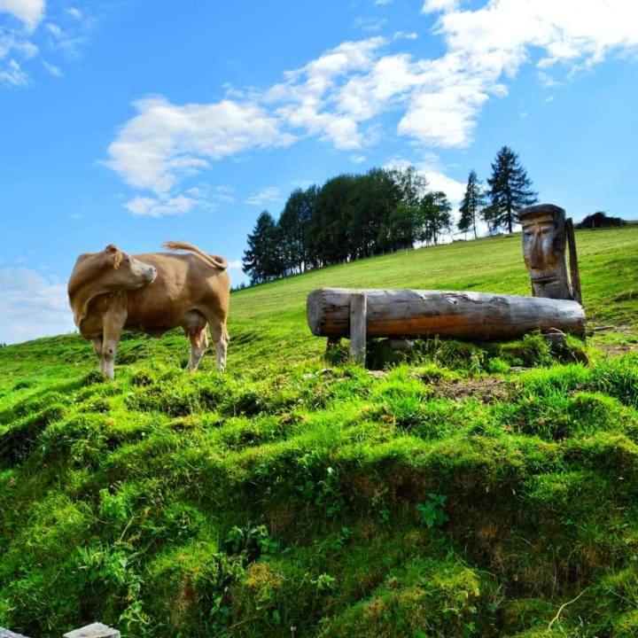 Ferienwohnung Schaller
