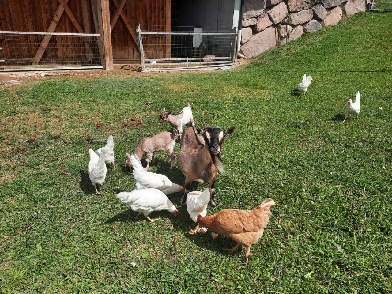 Photo 48
