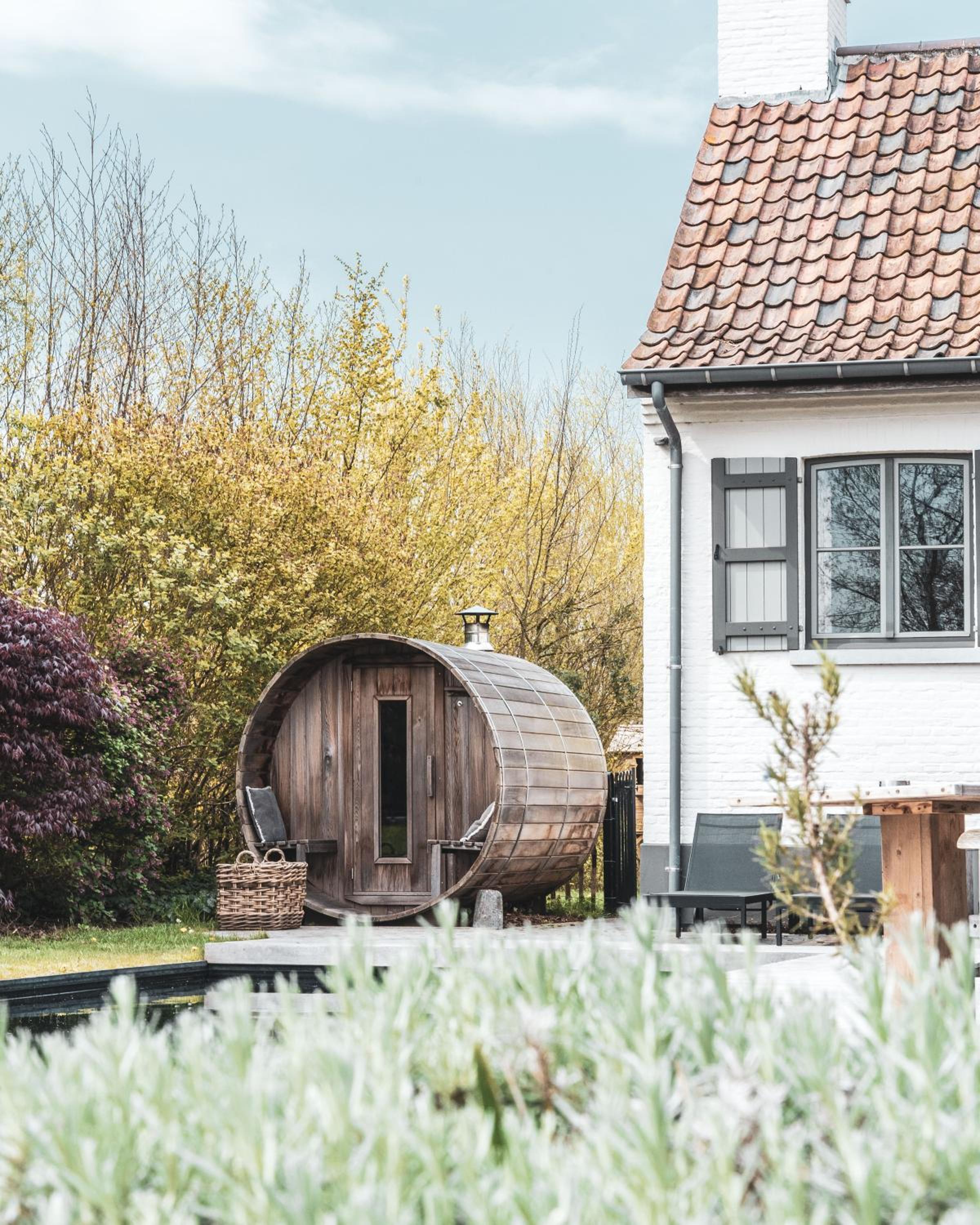 B&B Extra Verte