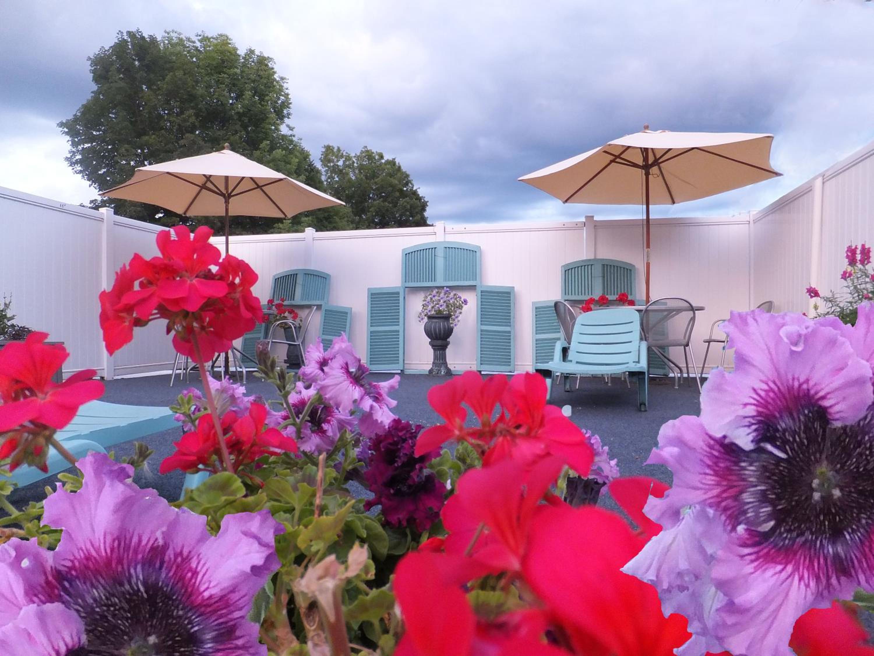 Windsor Motel