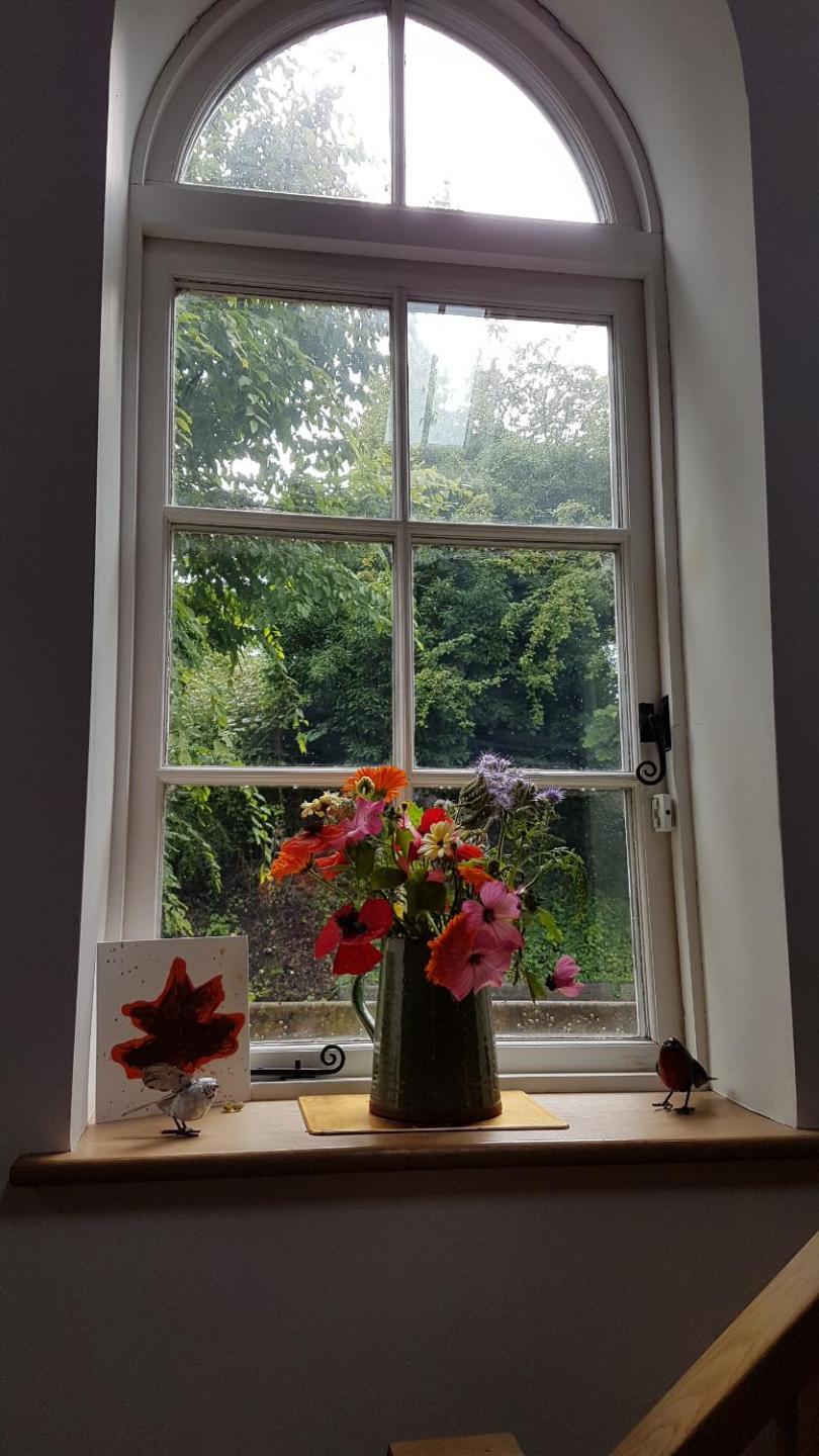Baptist Cottage view 5