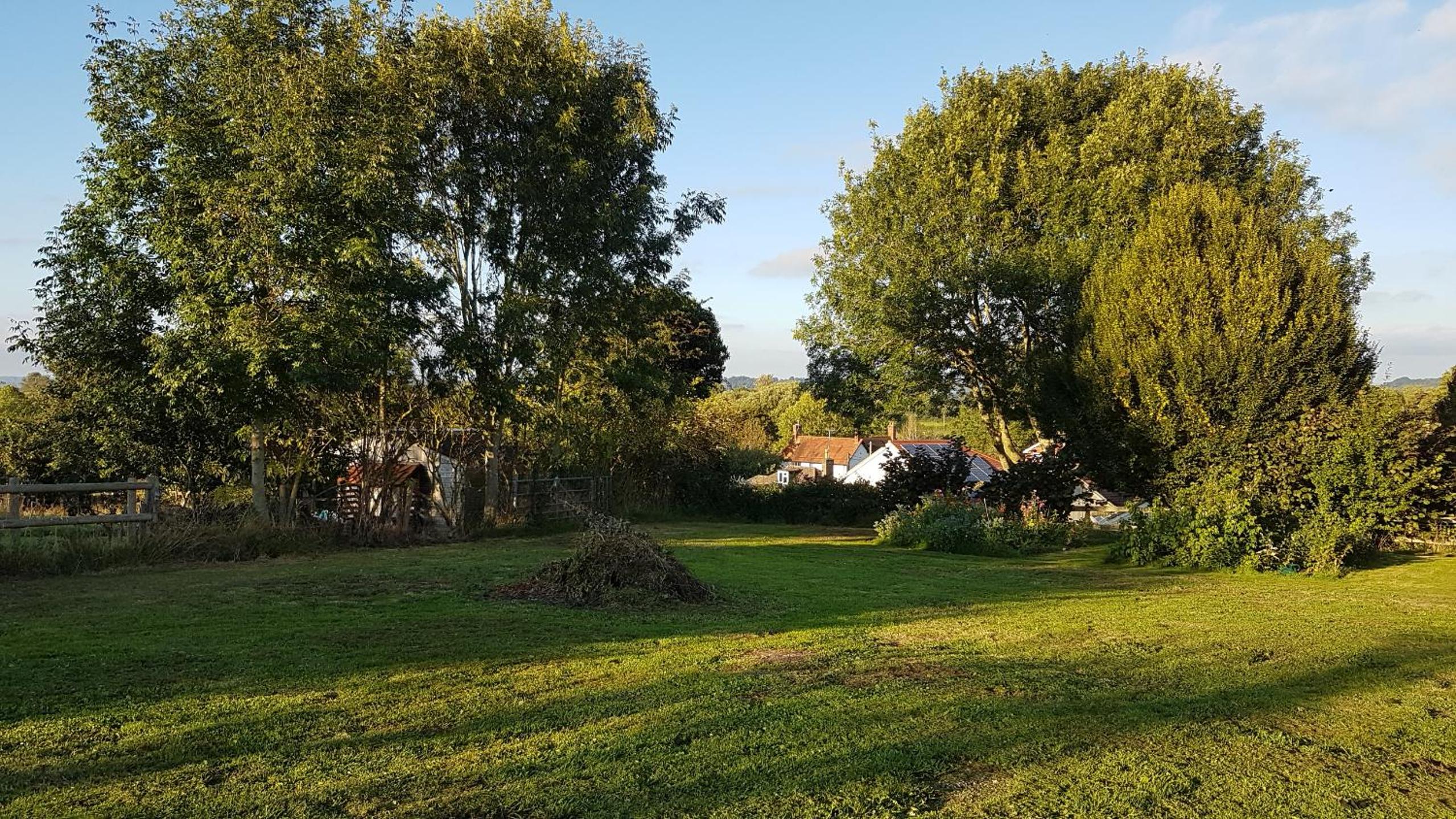 Photo 19