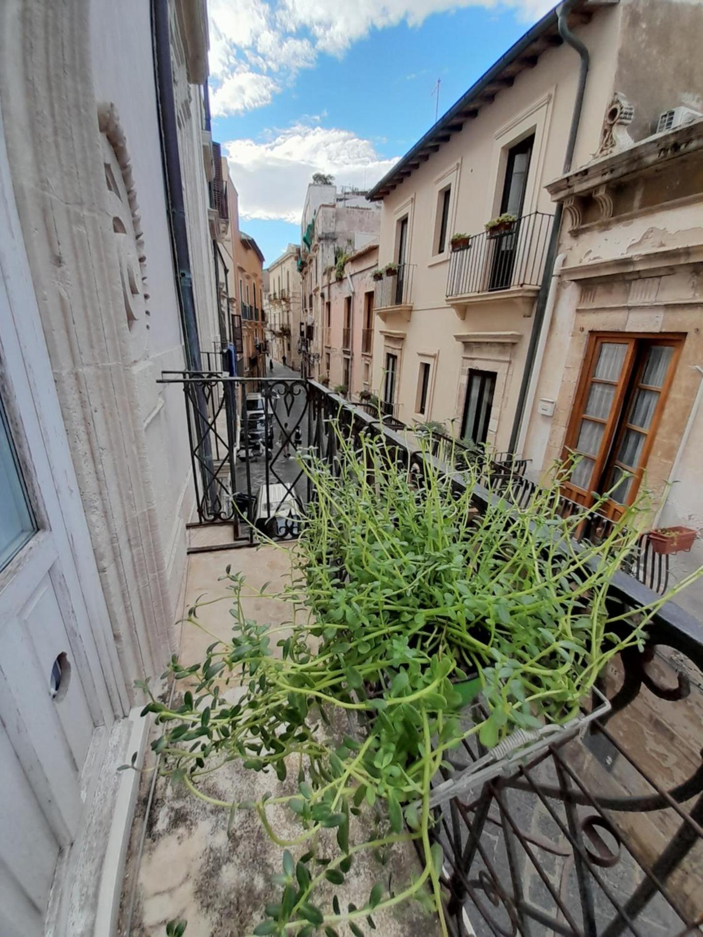 Ortigia Family House