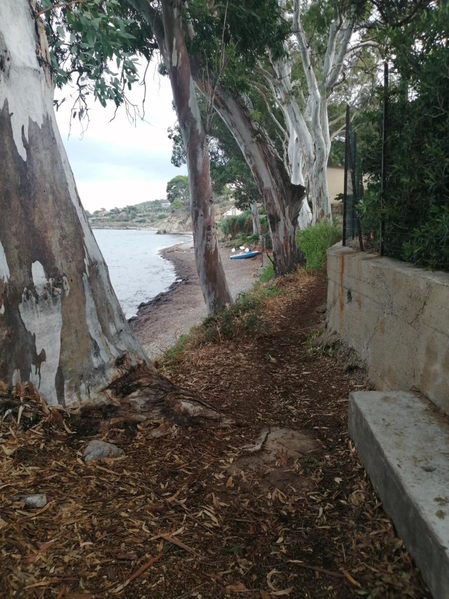 VillaPietramaccarruna view 5