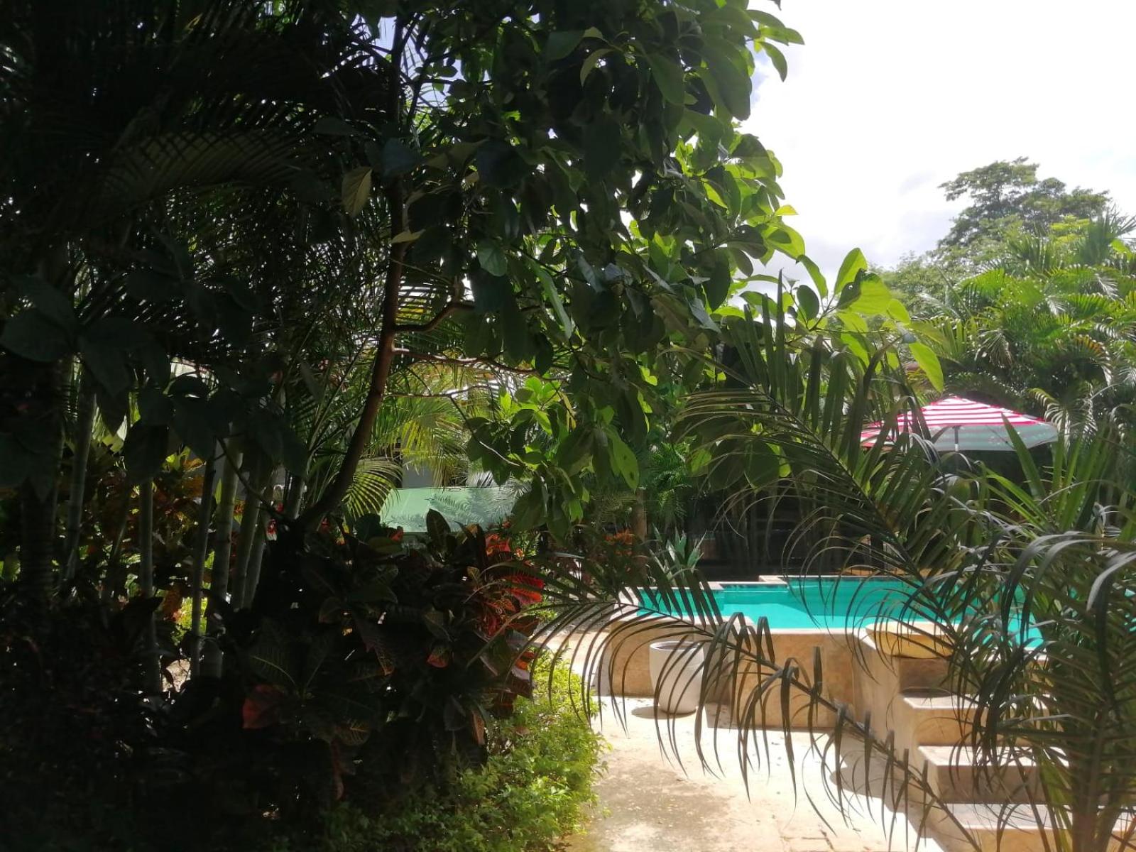 Suite Paraiso Azul