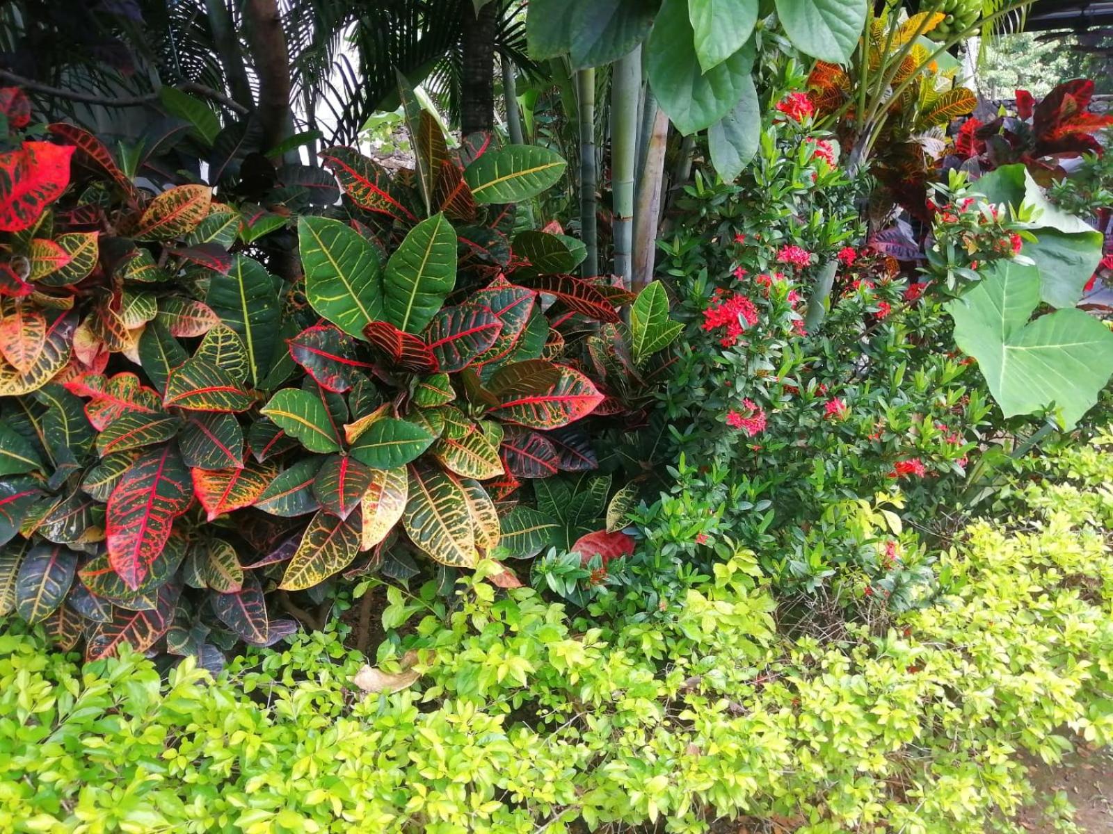 Suite Paraiso Azul