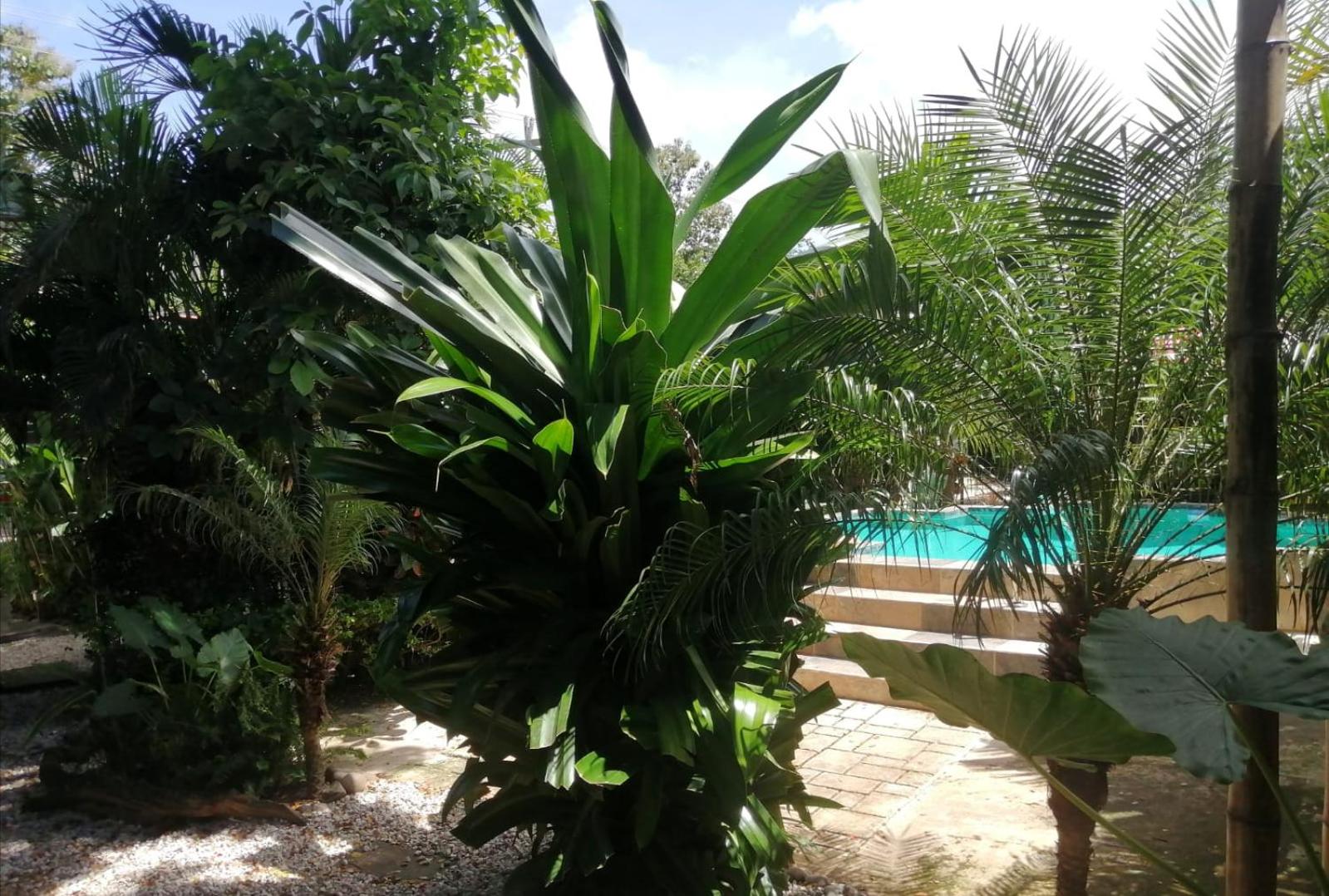 Suite Paraiso Azul