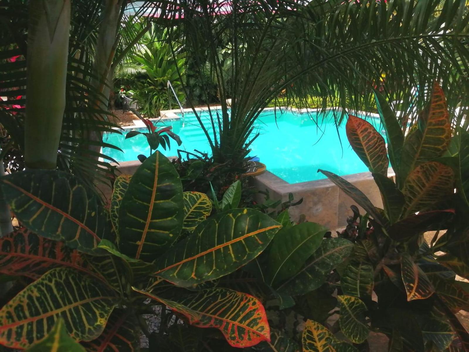 Suite Paraiso Azul