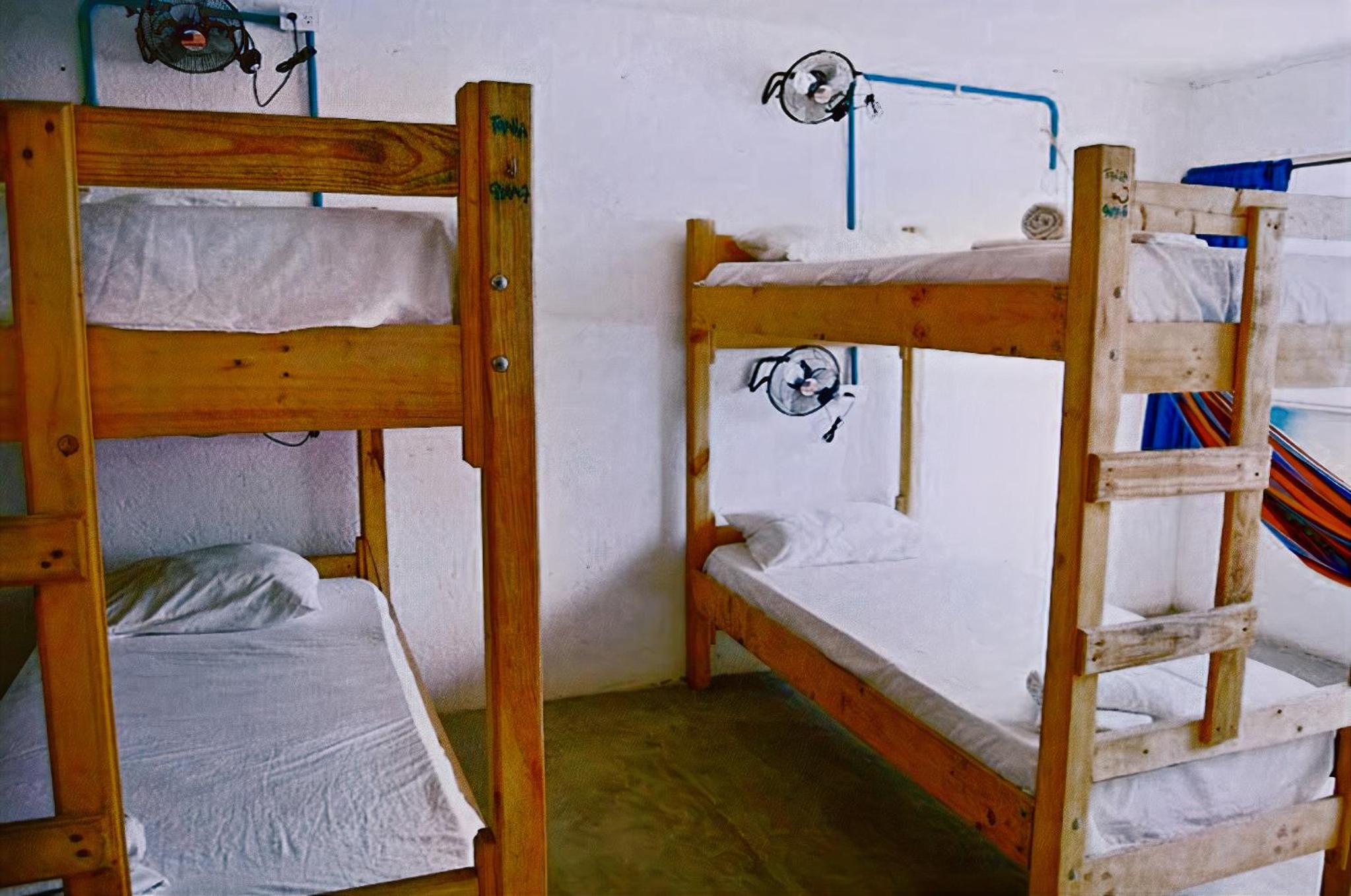 Playa del Ritmo Beach Hostel & Bar - Adults Only