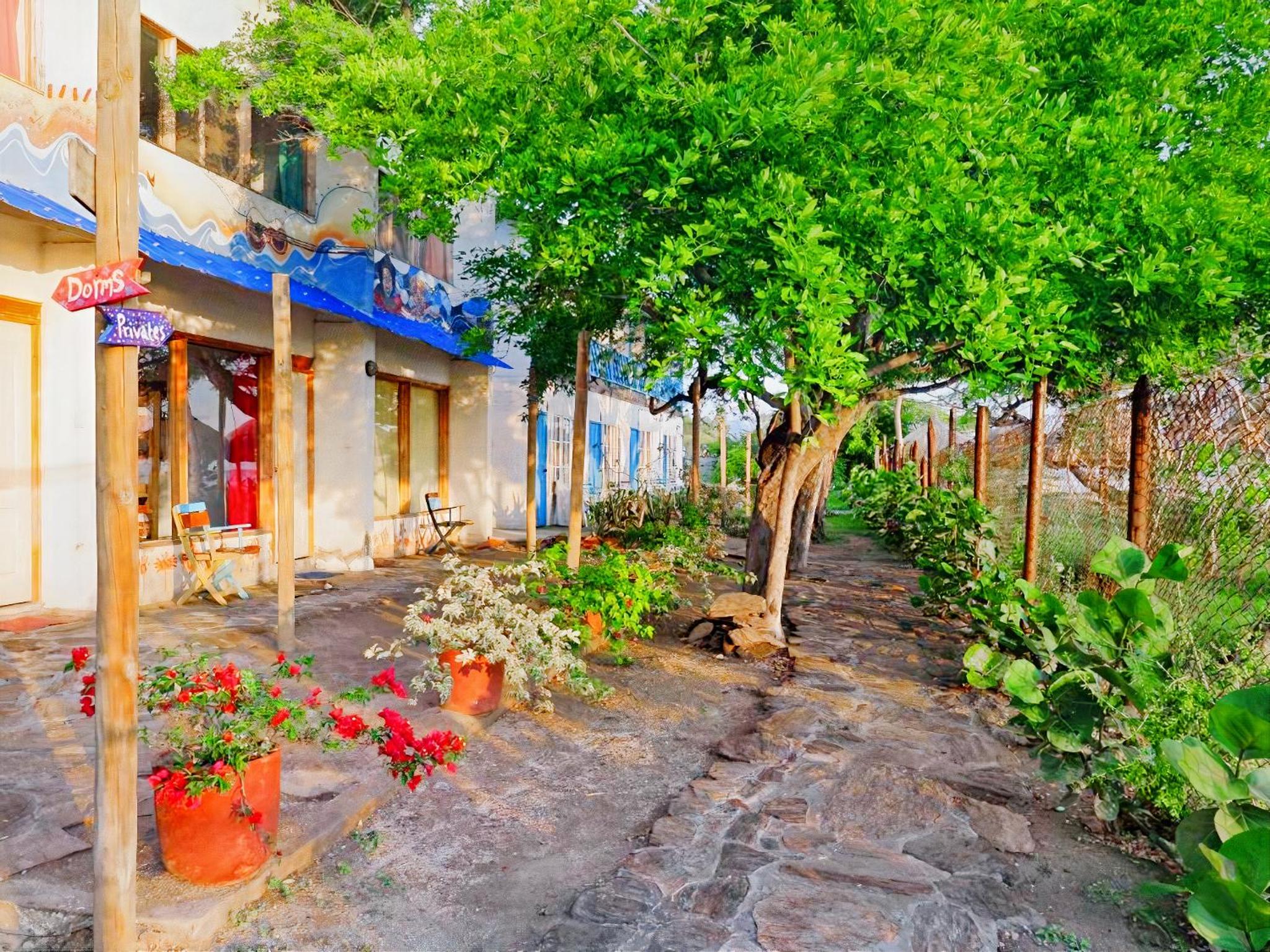 Playa del Ritmo Beach Hostel & Bar - Adults Only