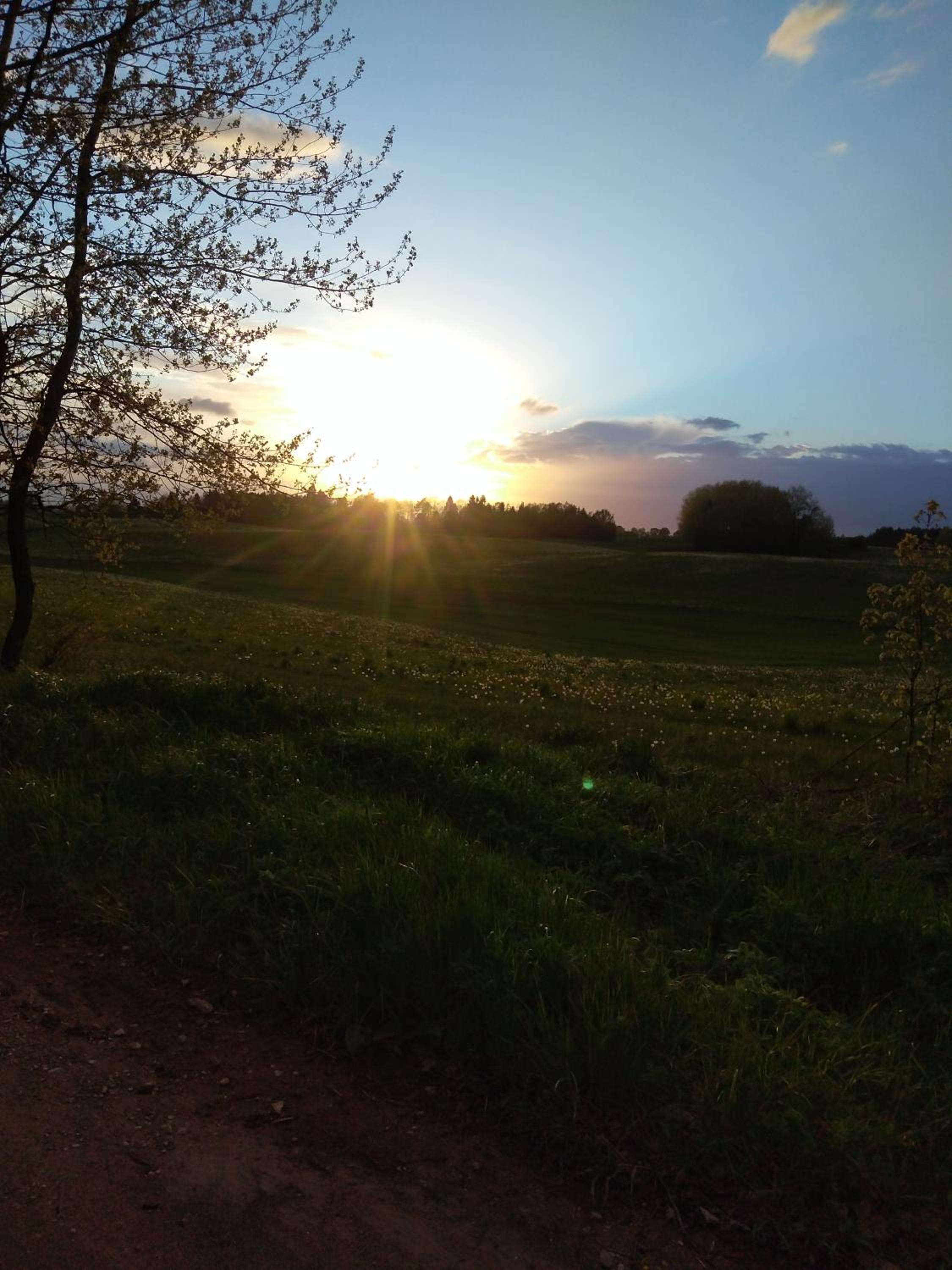 Photo 36