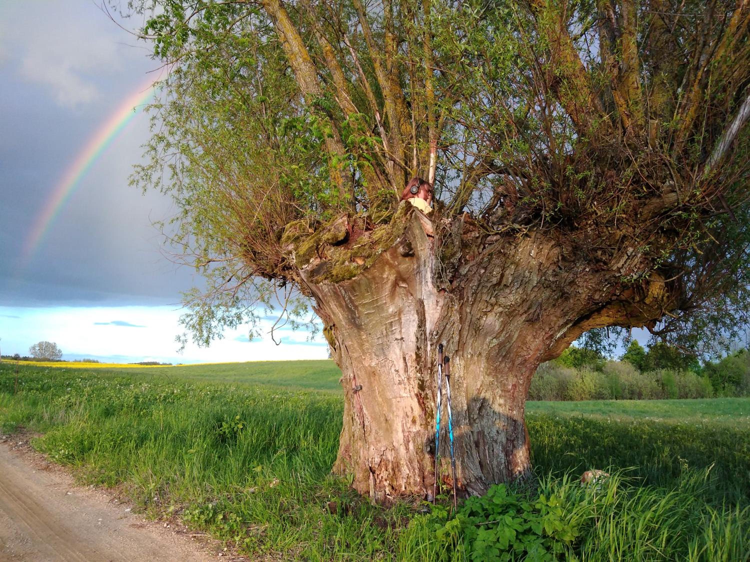 Photo 40