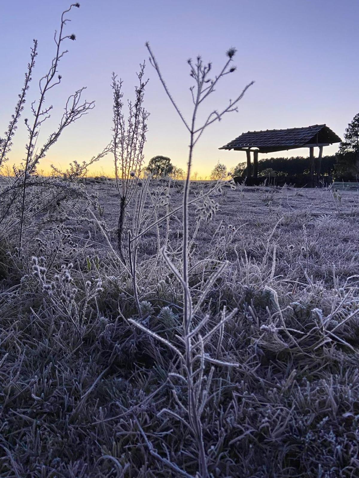Fazenda Rodeio Bonito