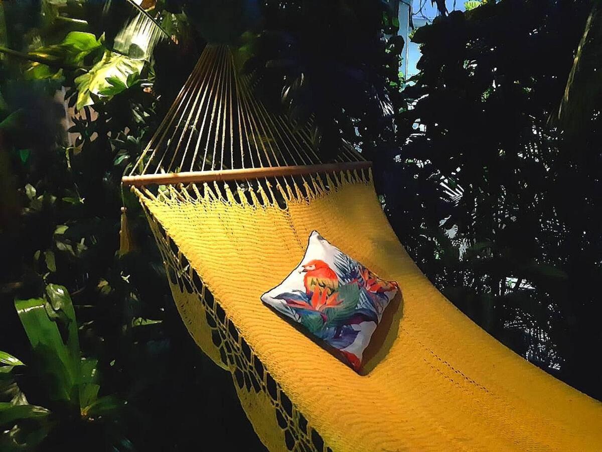 Suite Paraiso Azul