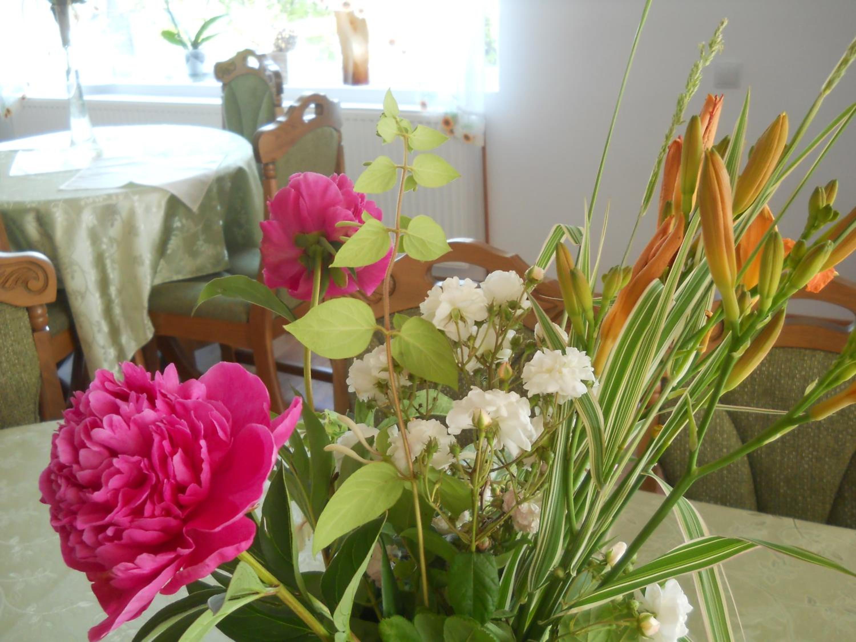 Photo 42