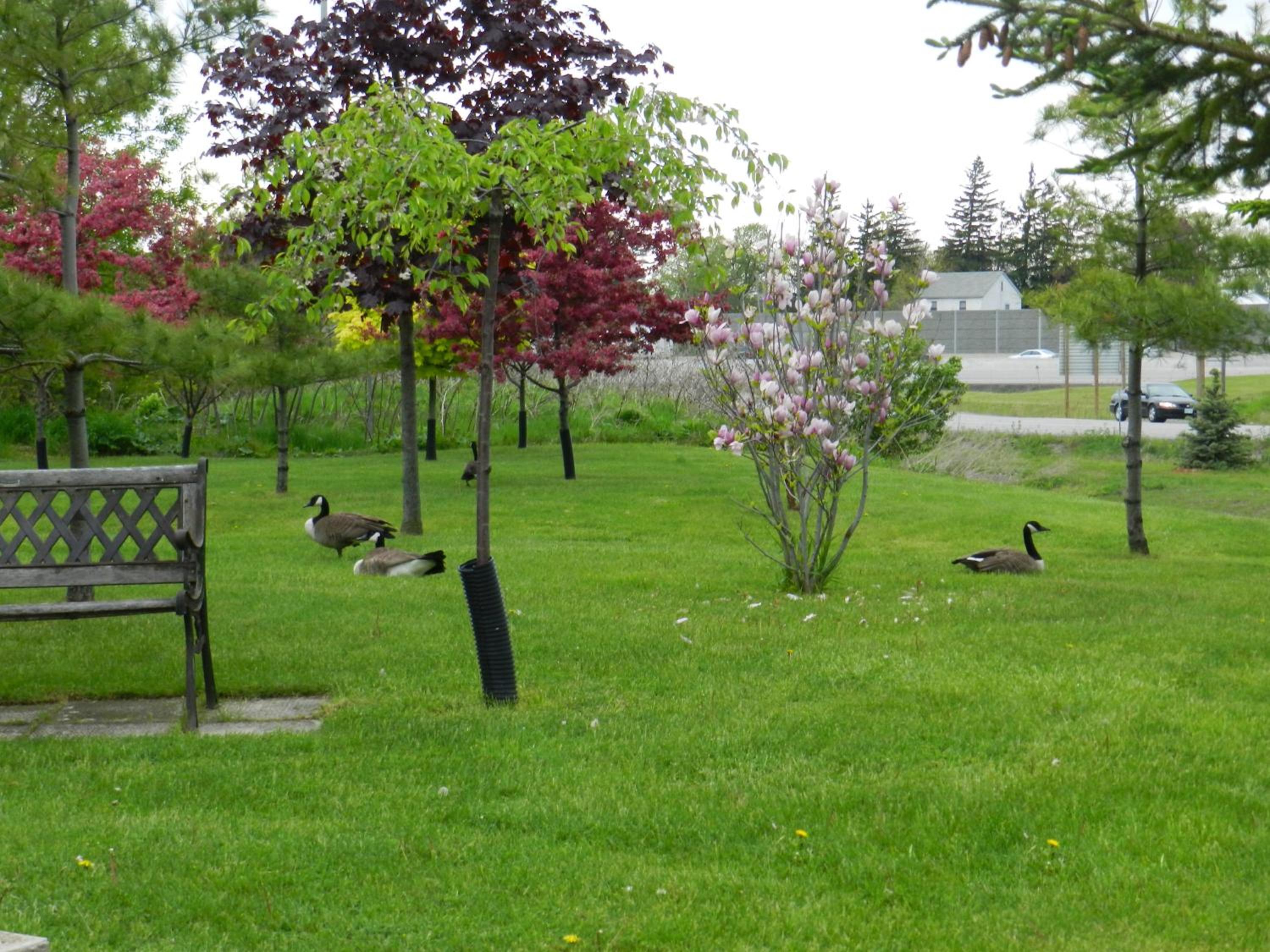 Photo 41