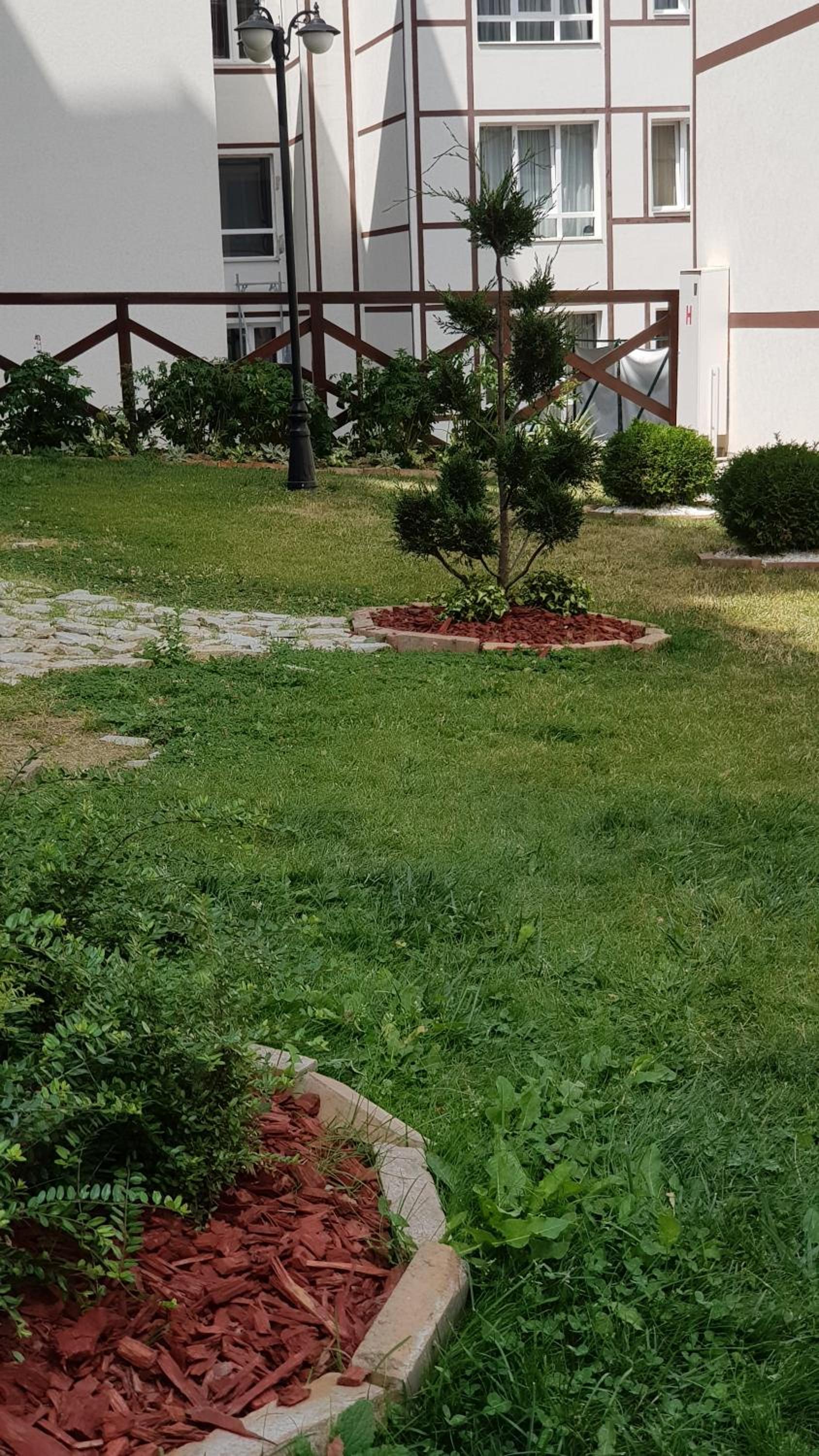 Photo 21
