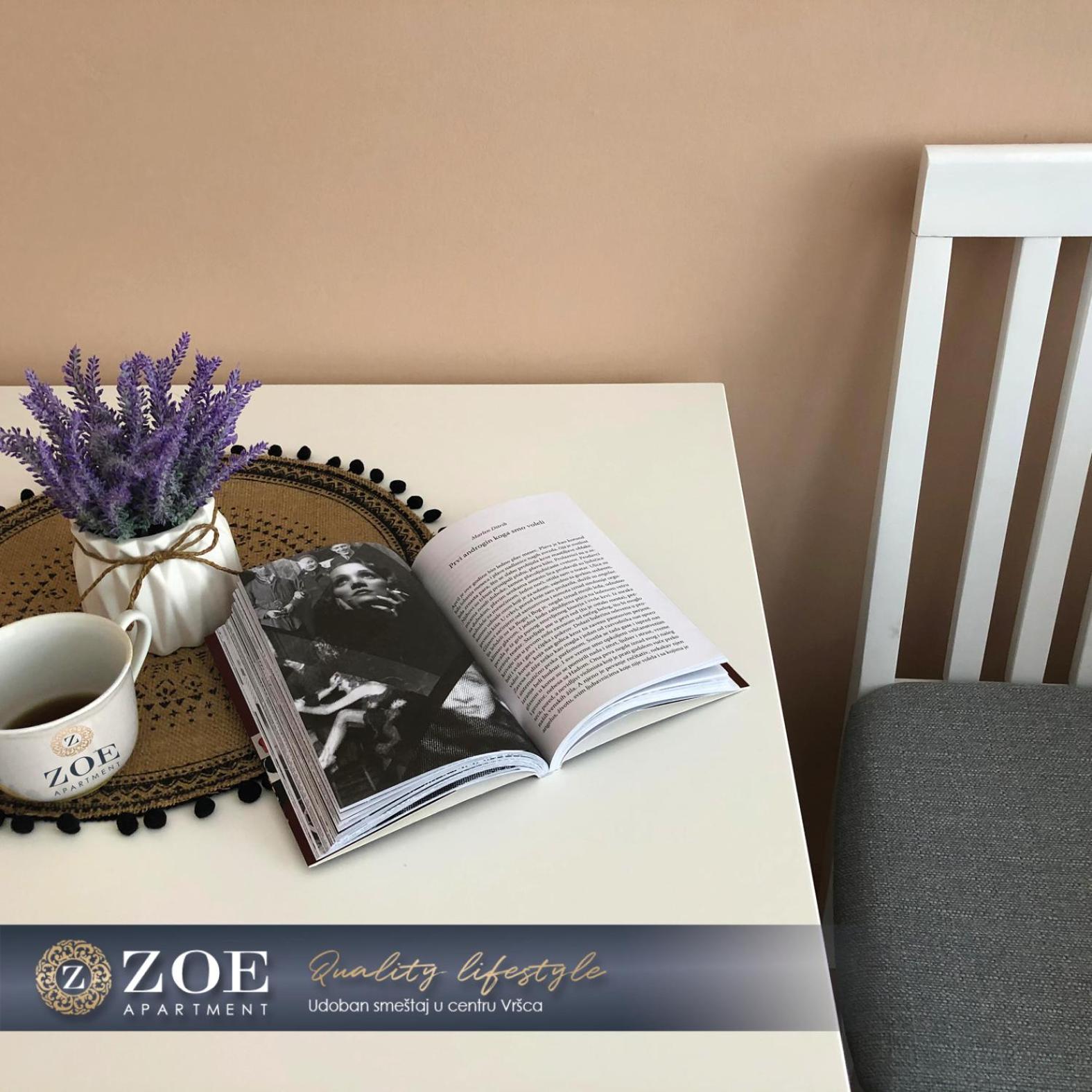 ZOE apartment view 4