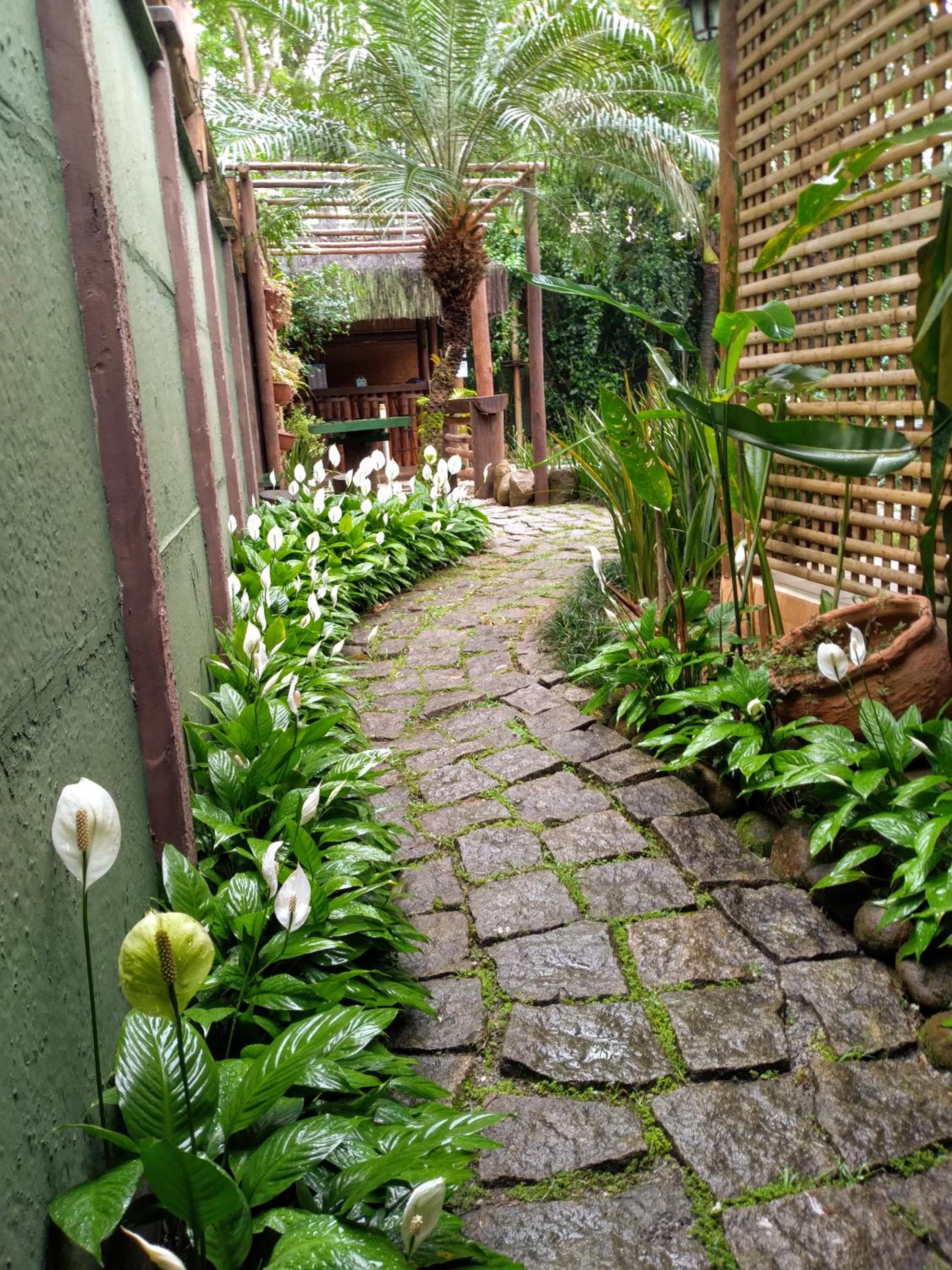Photo 45