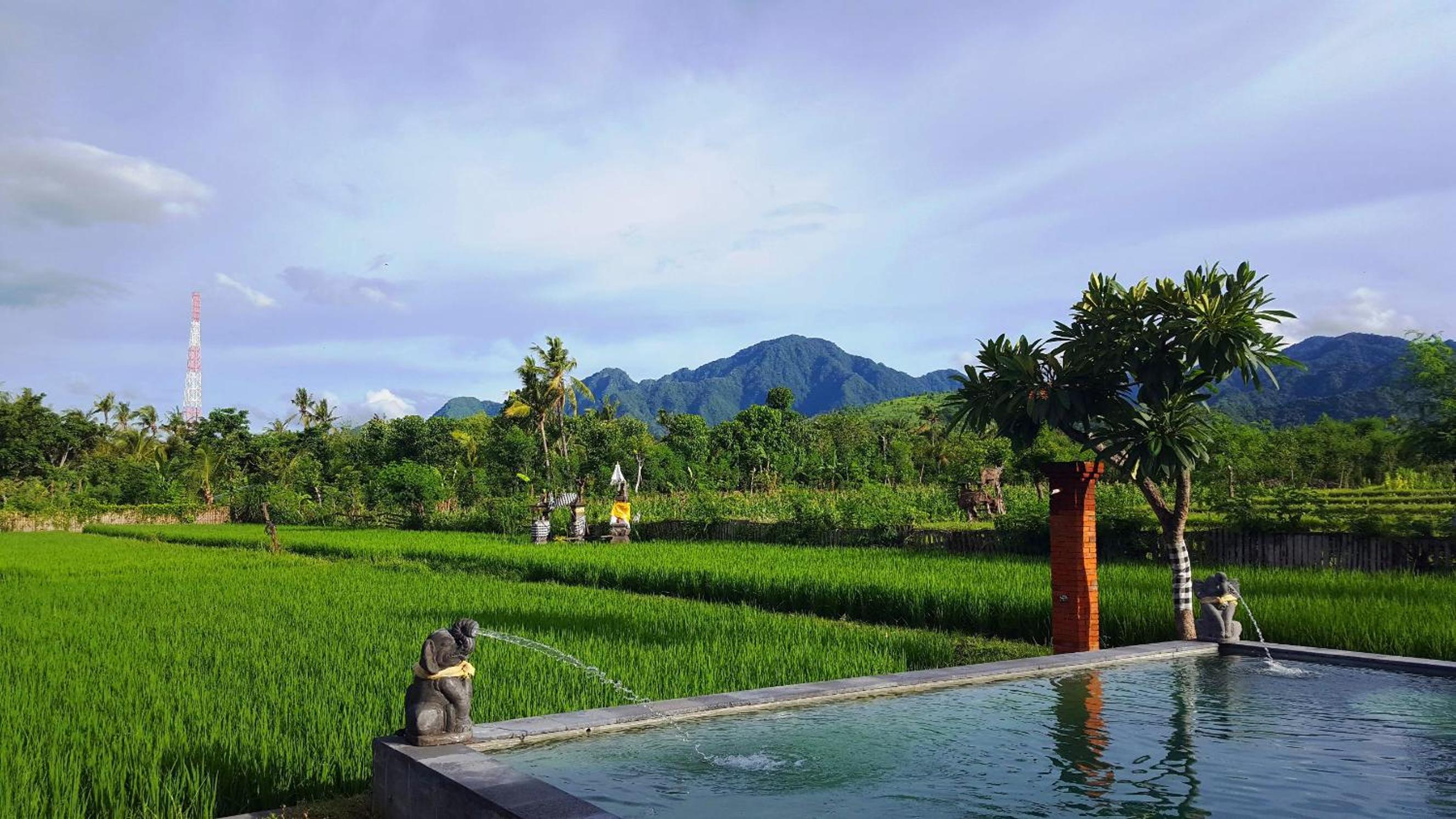 Umma Bali Menjangan Retreat view 5