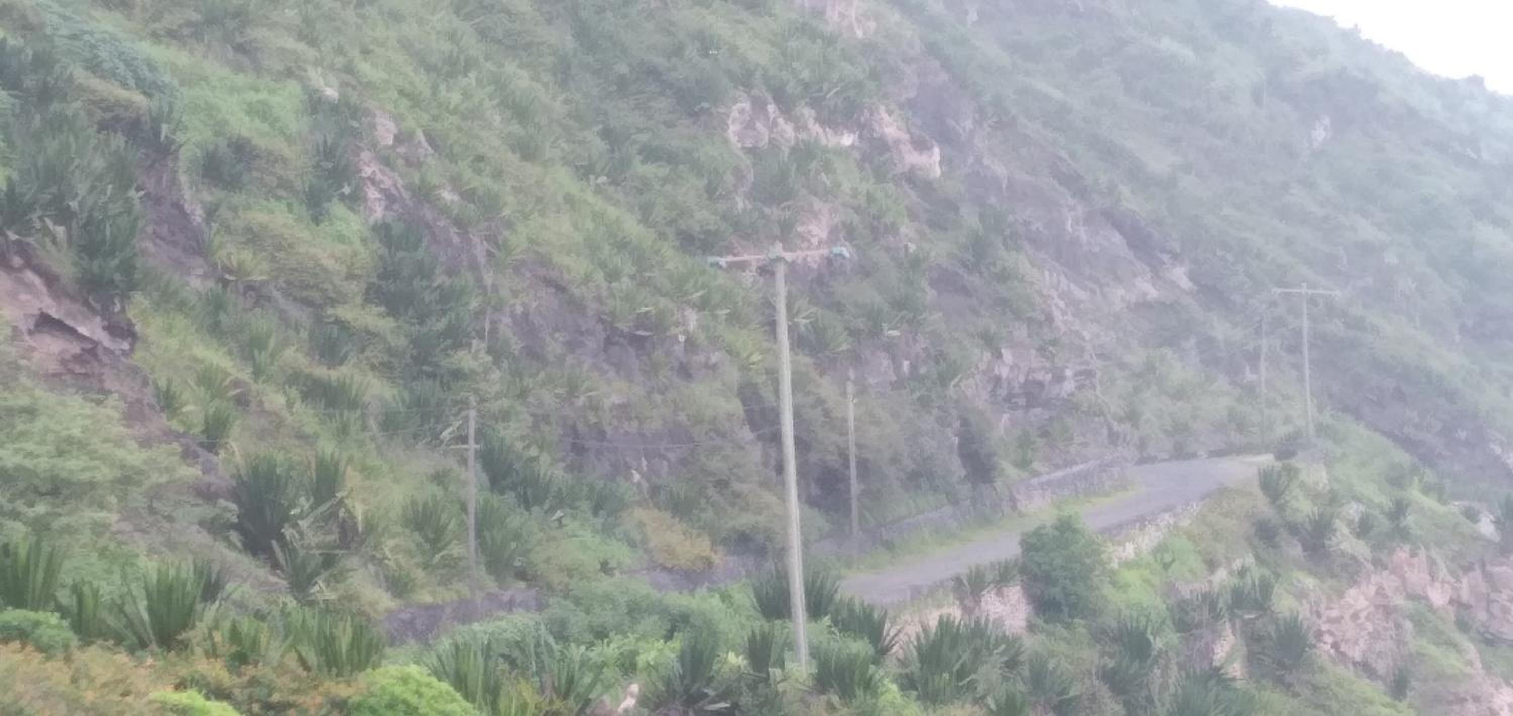Ciza e Rose