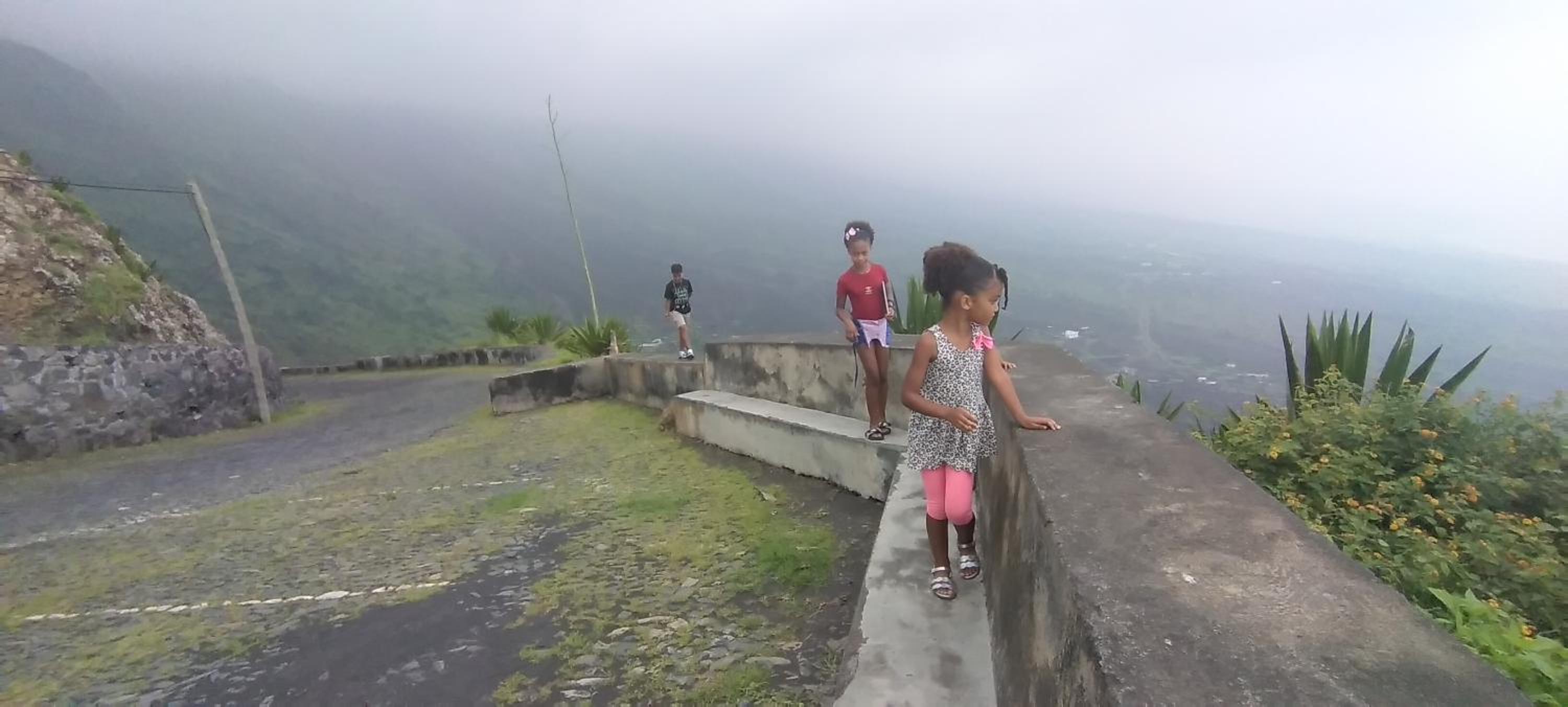 Ciza e Rose