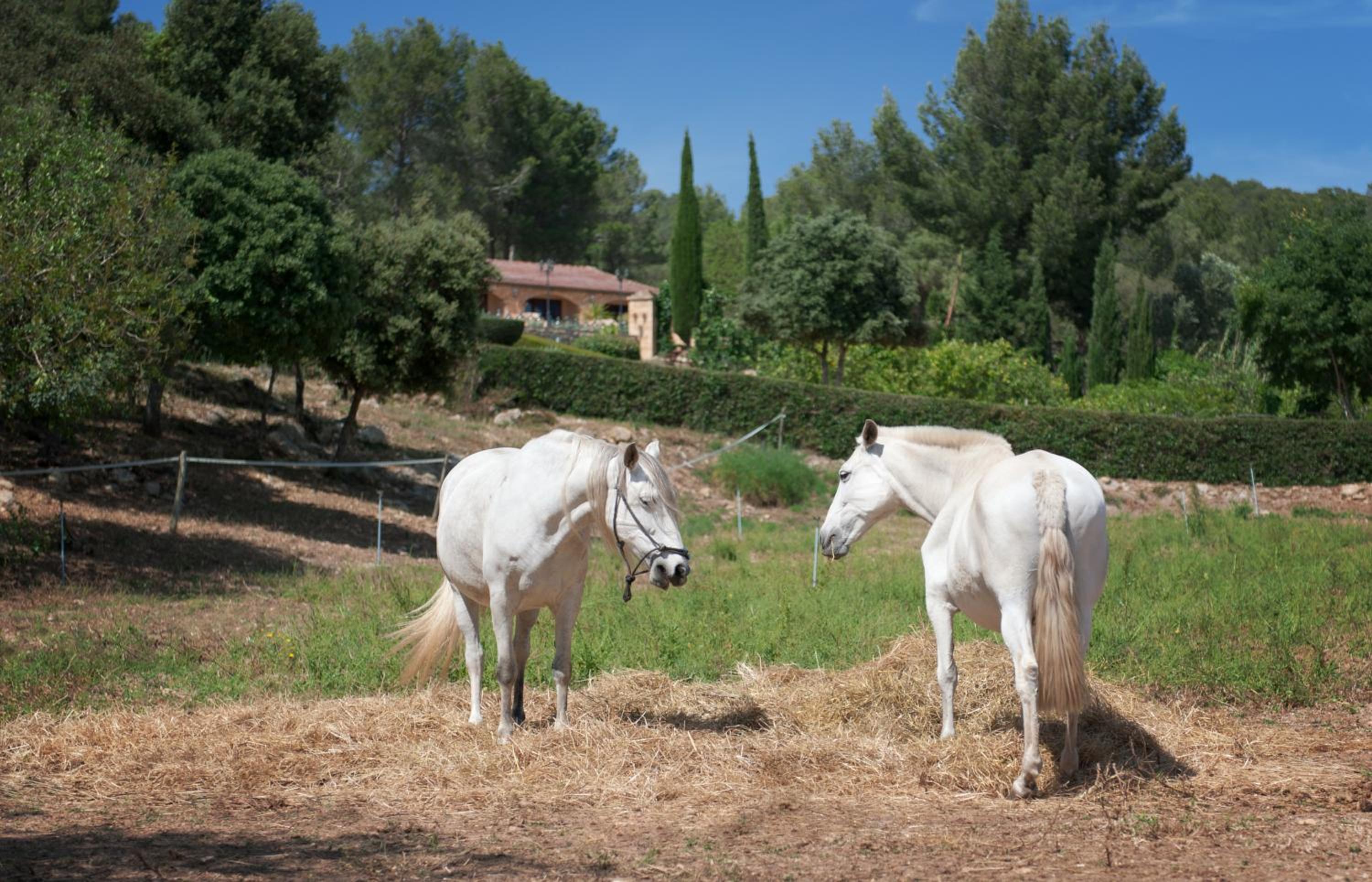 Agroturisme Son Samà